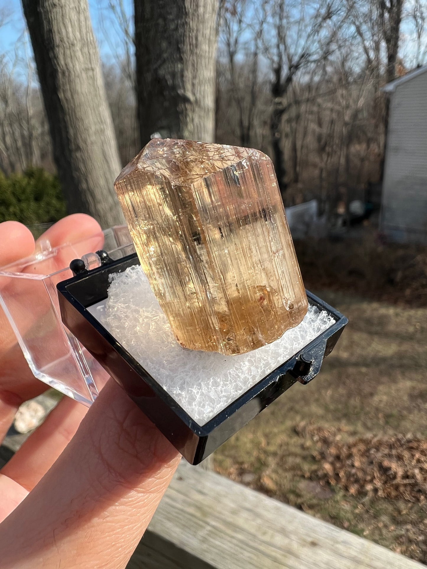 Gem Golden Scapolite Crystal from Tanzania