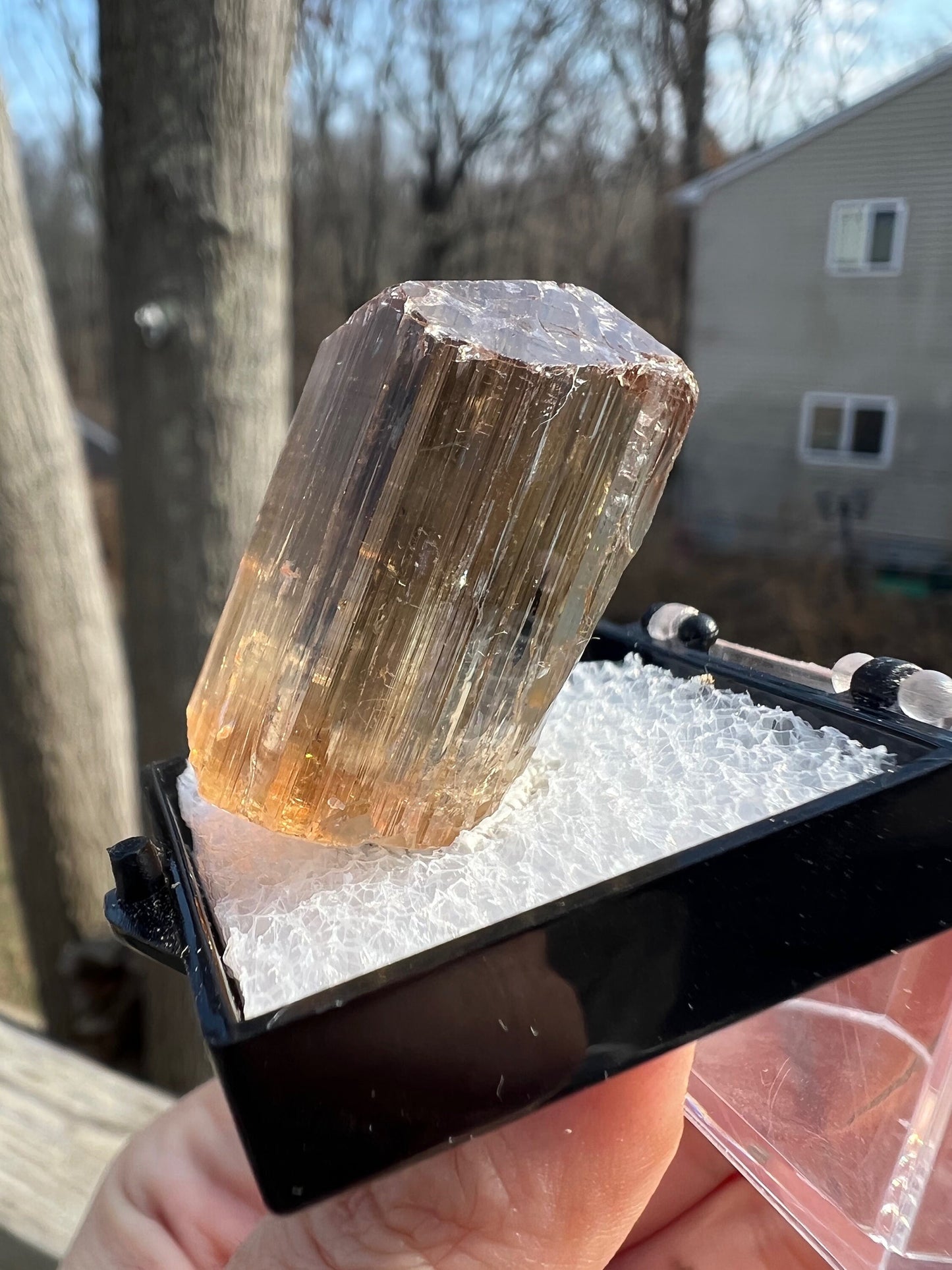Gem Golden Scapolite Crystal from Tanzania