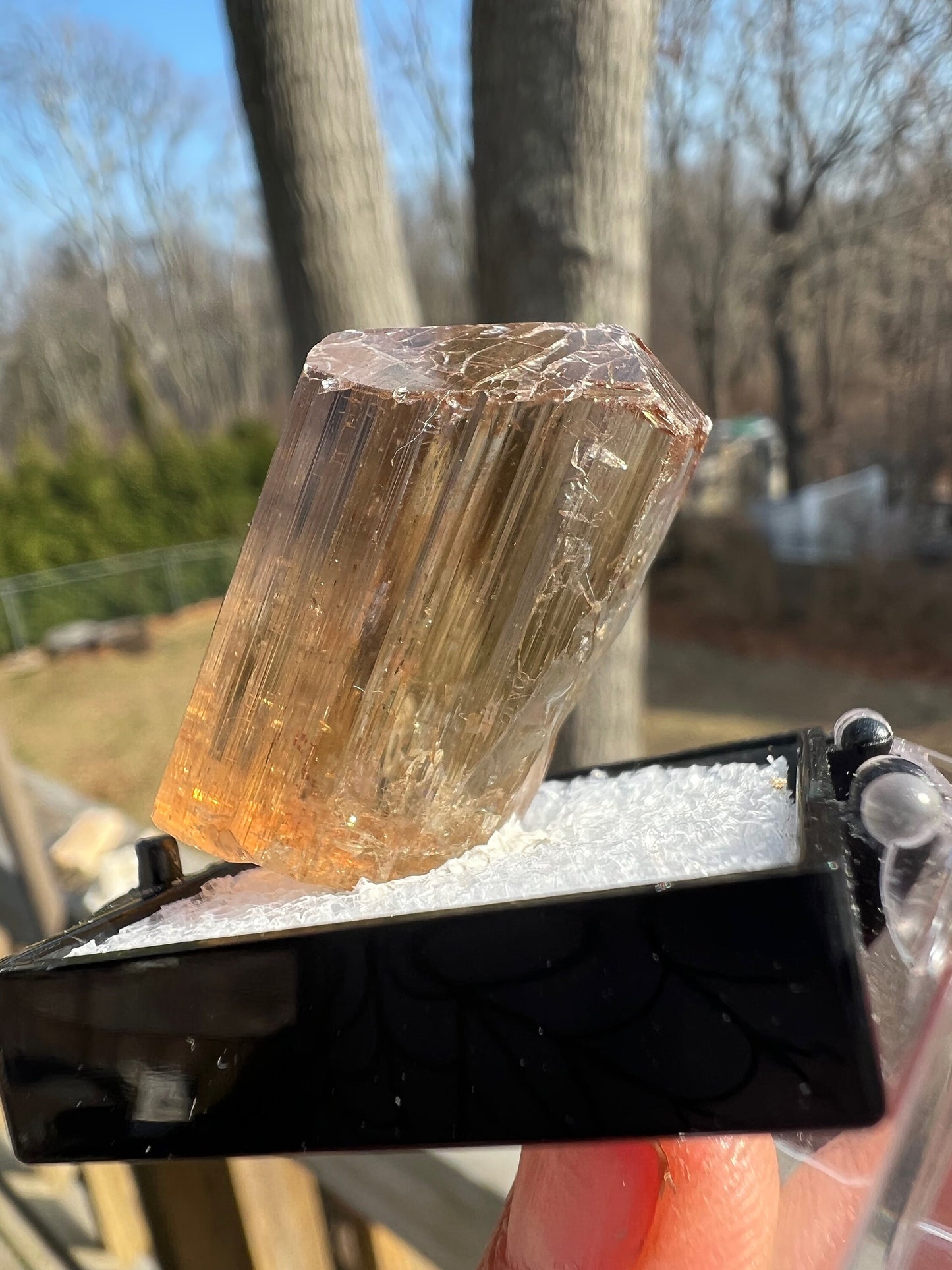 Gem Golden Scapolite Crystal from Tanzania