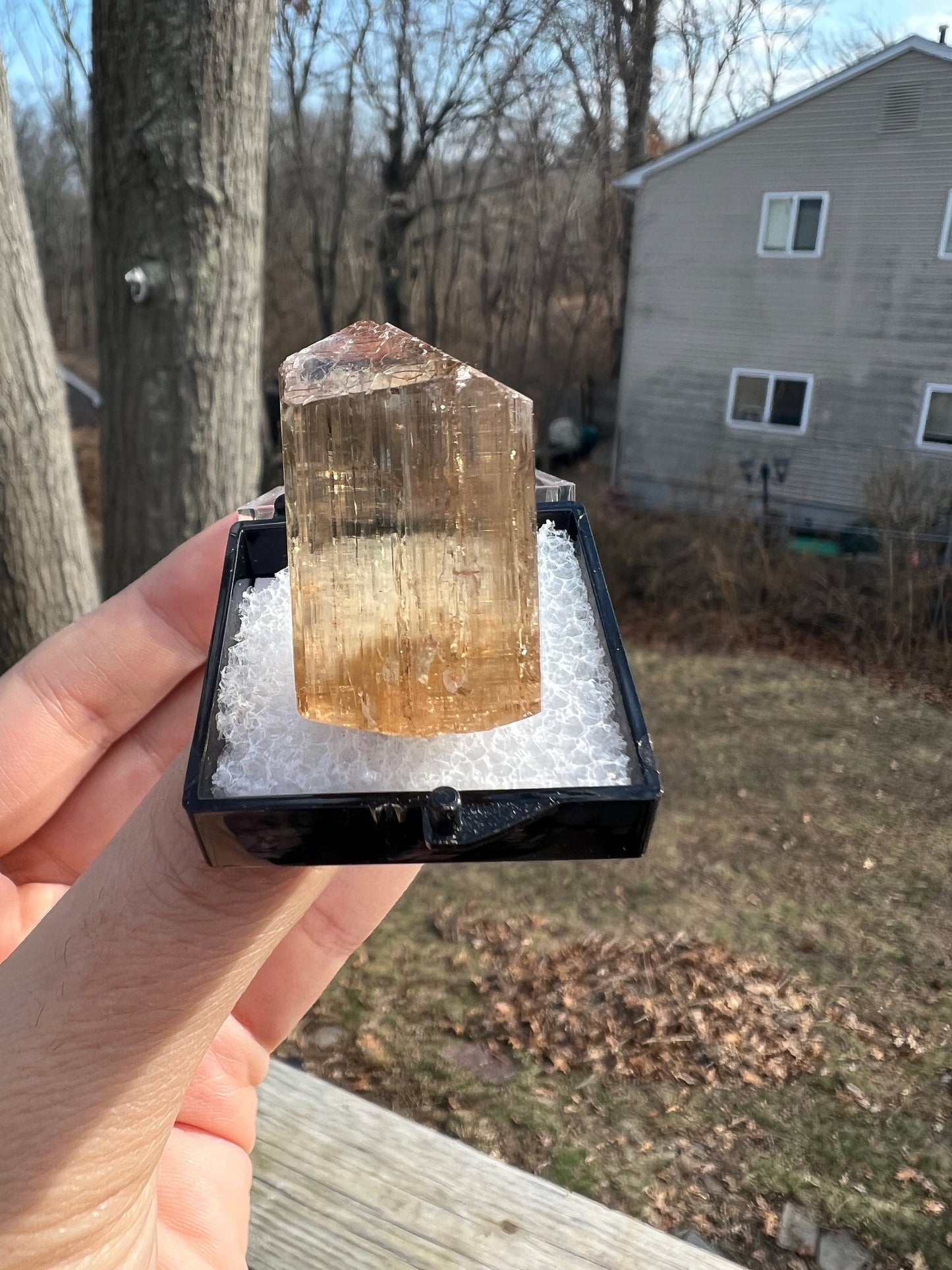 Gem Golden Scapolite Crystal from Tanzania