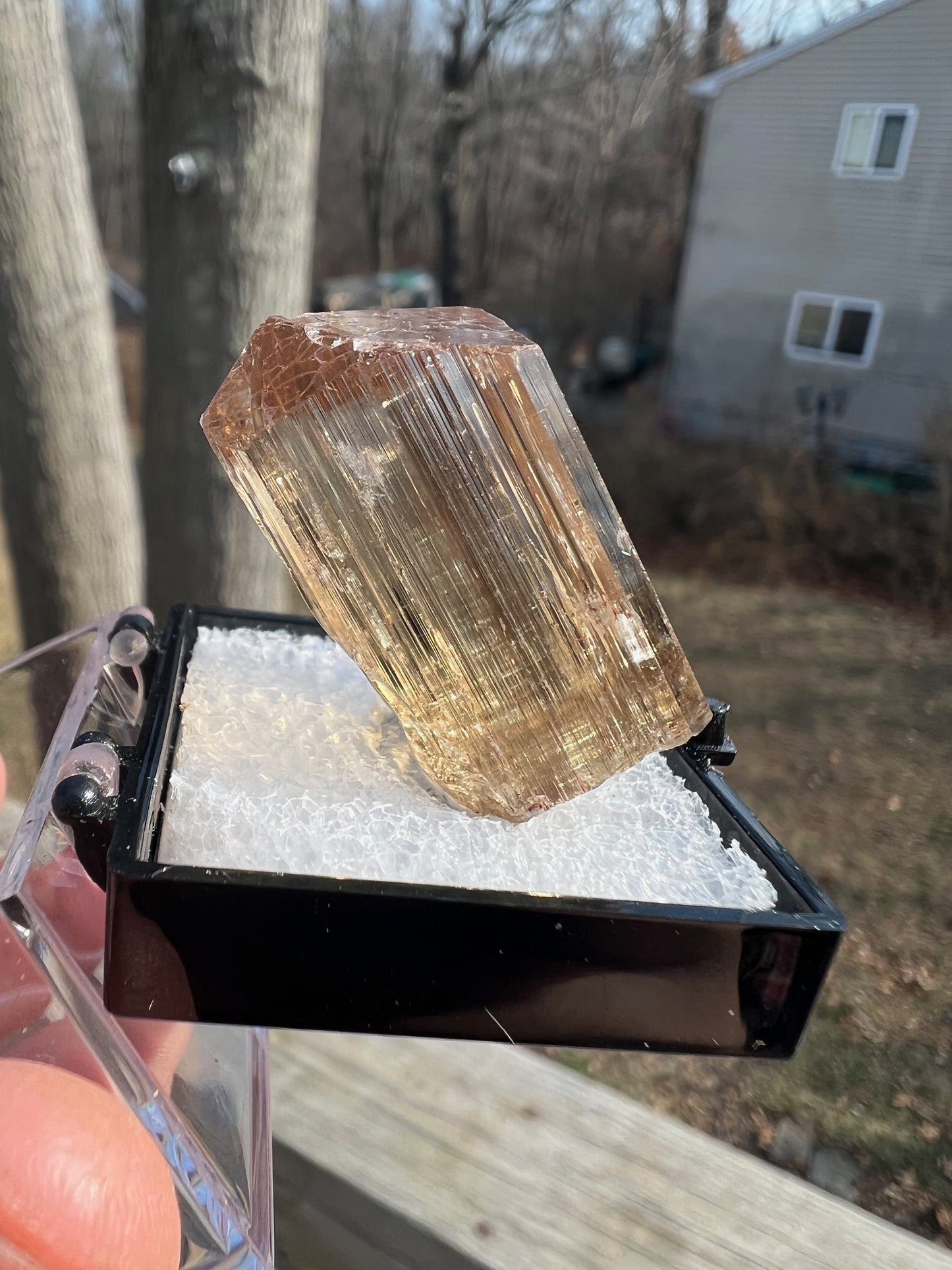 Gem Golden Scapolite Crystal from Tanzania
