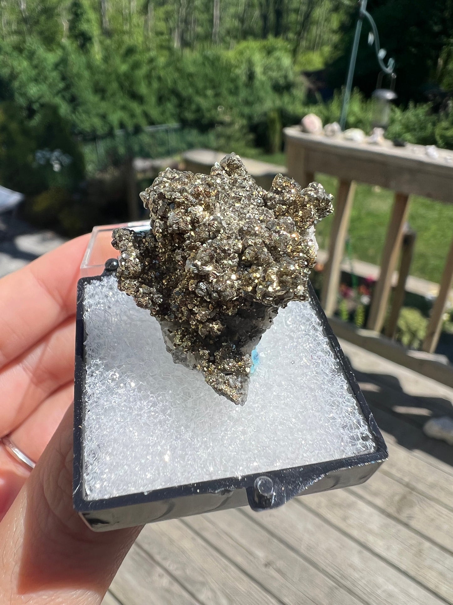 Rare Locality Pyrite from Pennsylvania USA