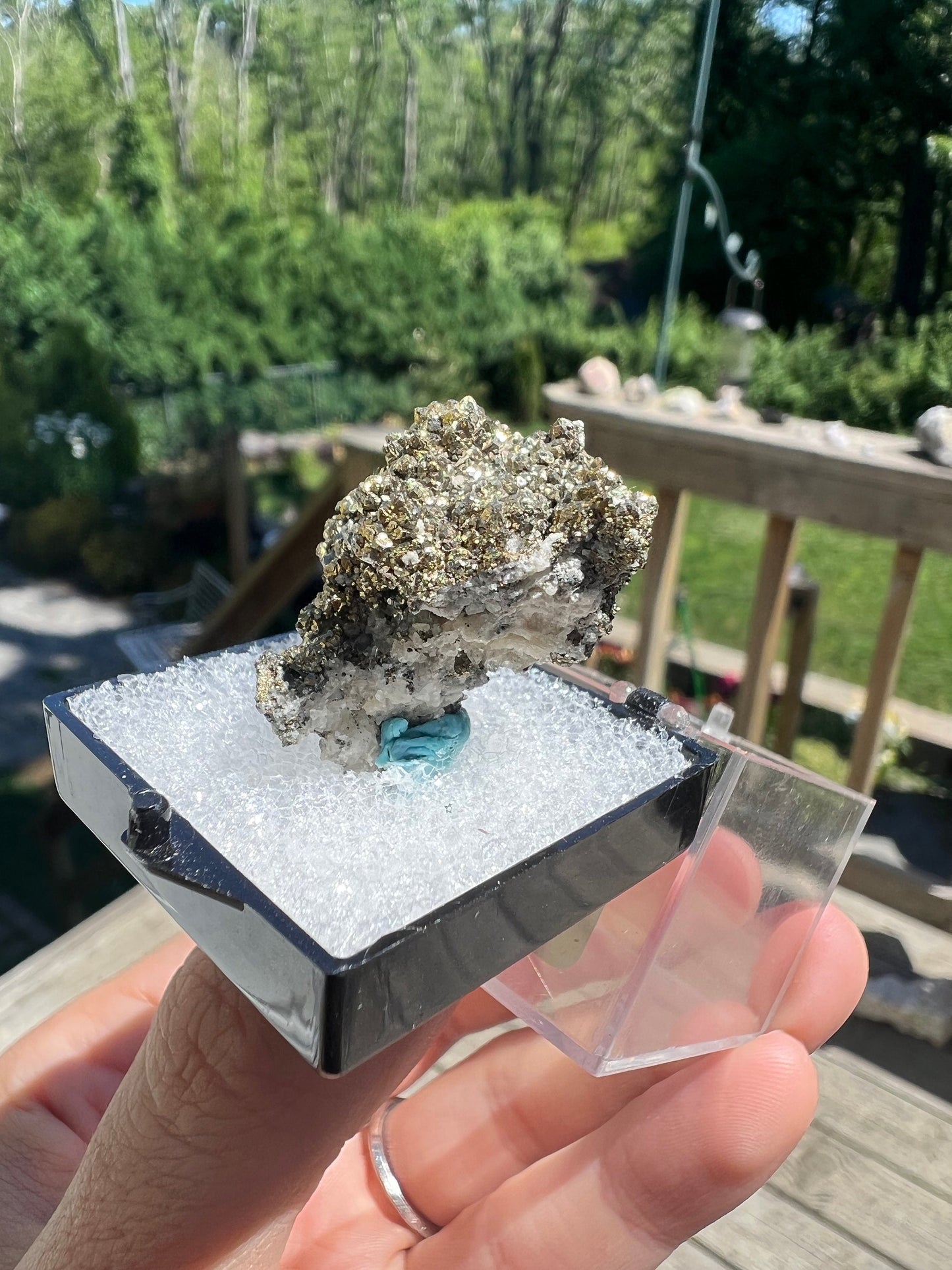 Rare Locality Pyrite from Pennsylvania USA