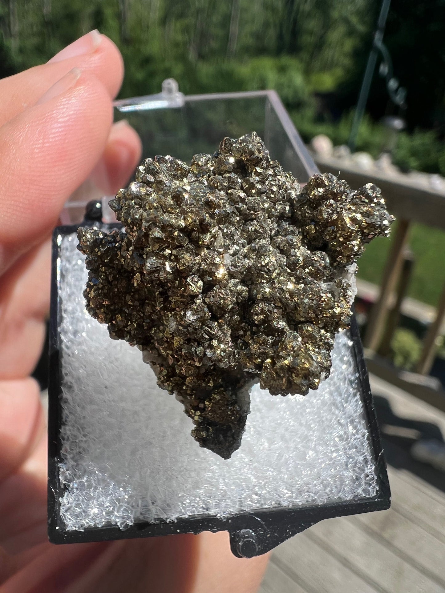 Rare Locality Pyrite from Pennsylvania USA