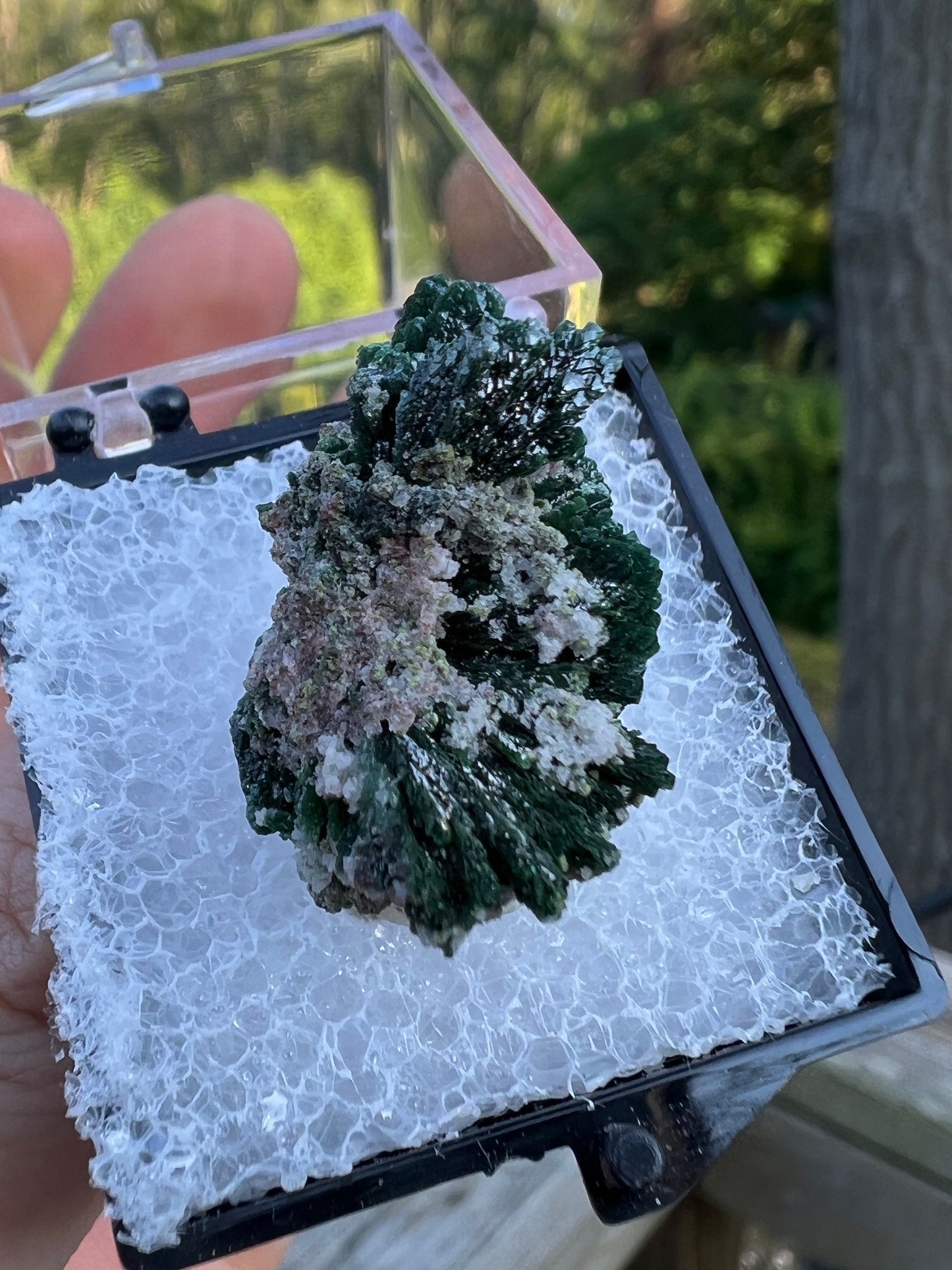 Mottramite Crystals from Tsumeb Namibia