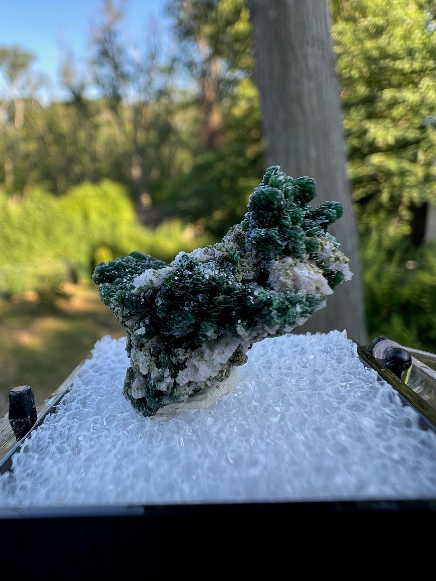 Mottramite Crystals from Tsumeb Namibia