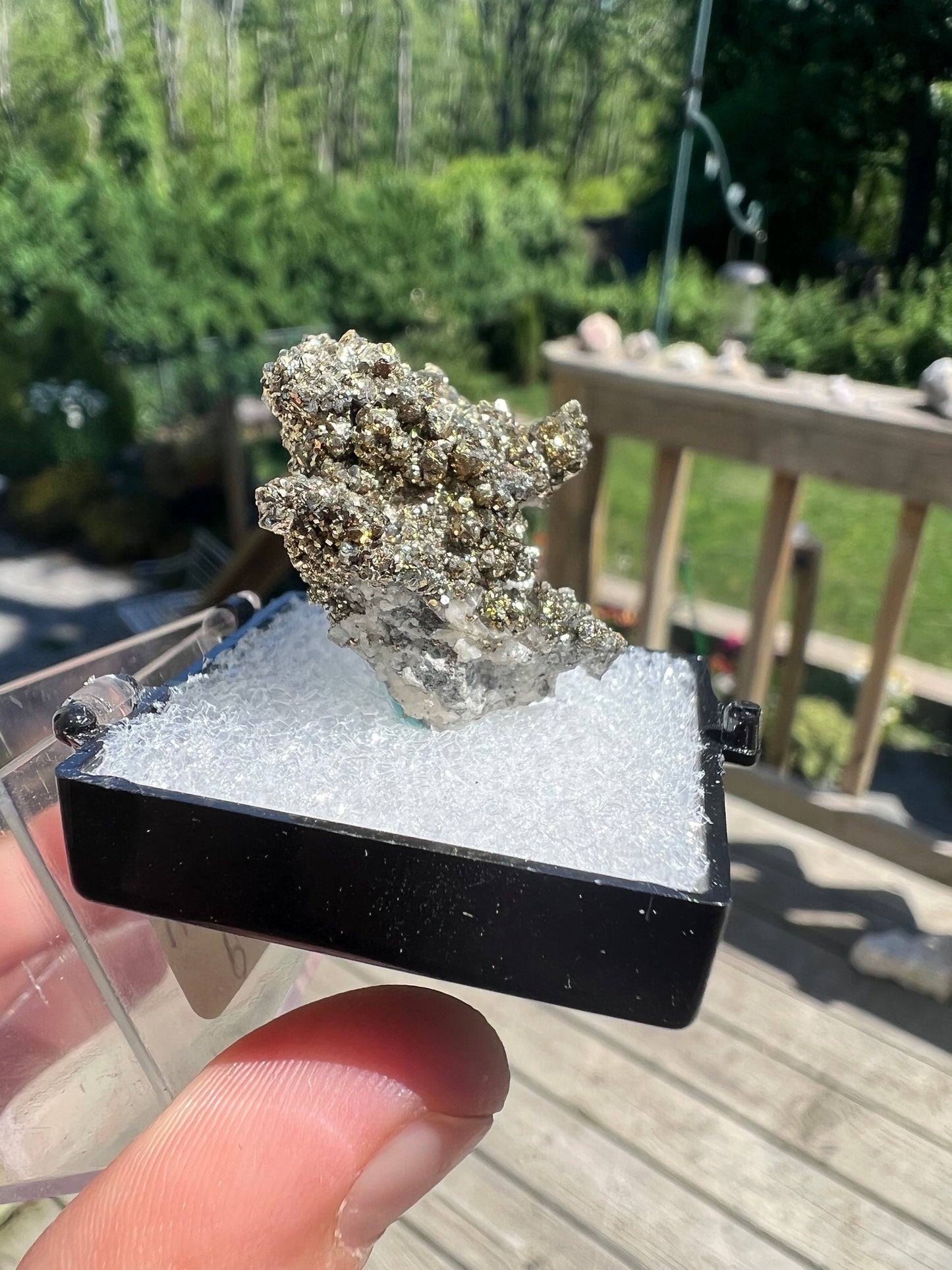 Rare Locality Pyrite from Pennsylvania USA