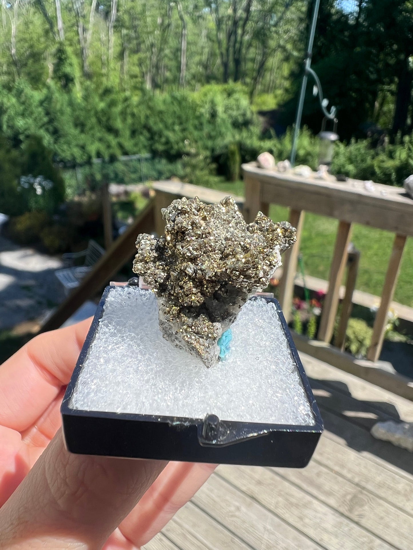 Rare Locality Pyrite from Pennsylvania USA