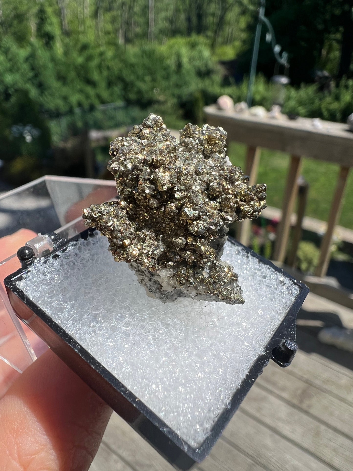 Rare Locality Pyrite from Pennsylvania USA