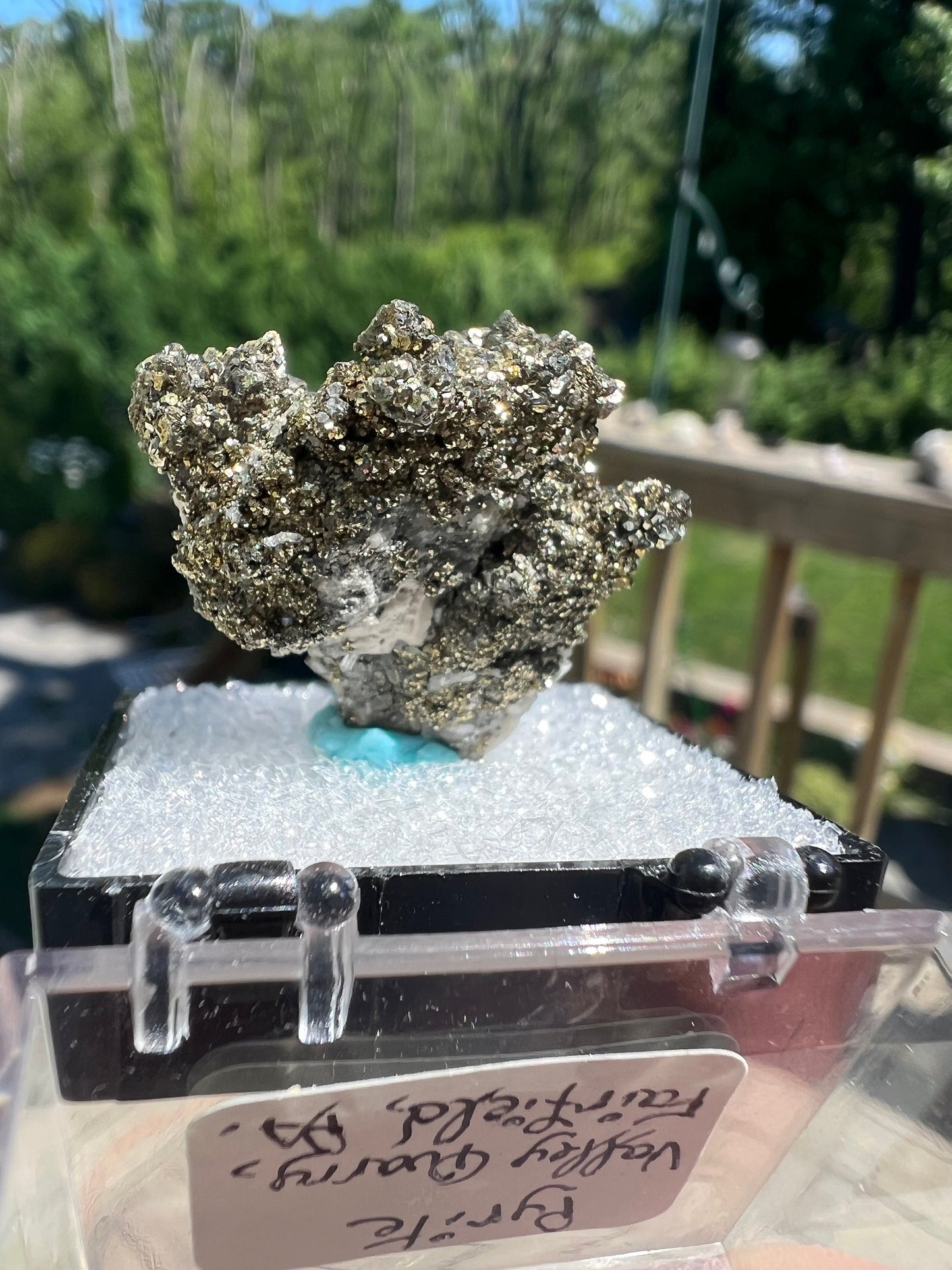 Rare Locality Pyrite from Pennsylvania USA