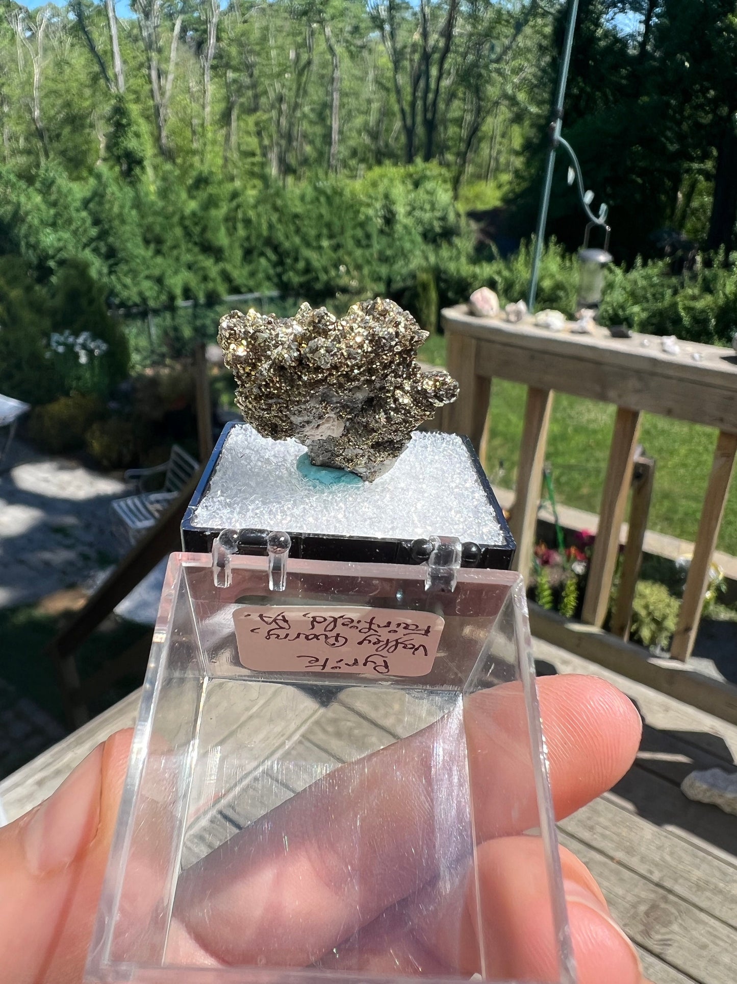 Rare Locality Pyrite from Pennsylvania USA