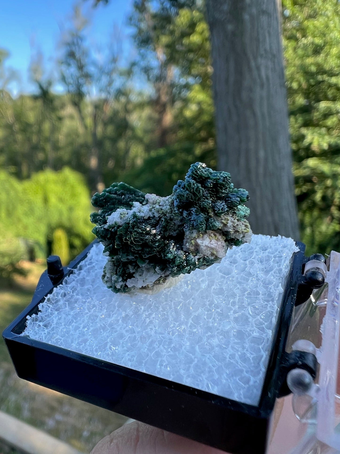 Mottramite Crystals from Tsumeb Namibia