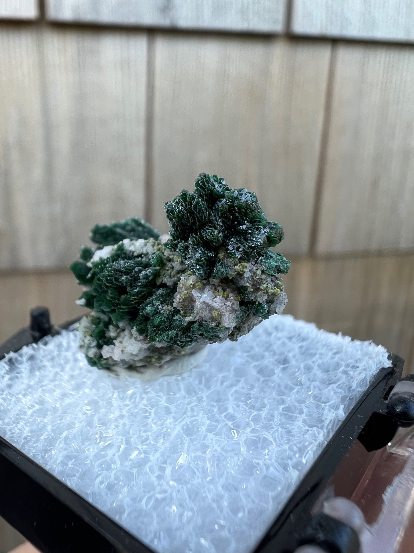 Mottramite Crystals from Tsumeb Namibia