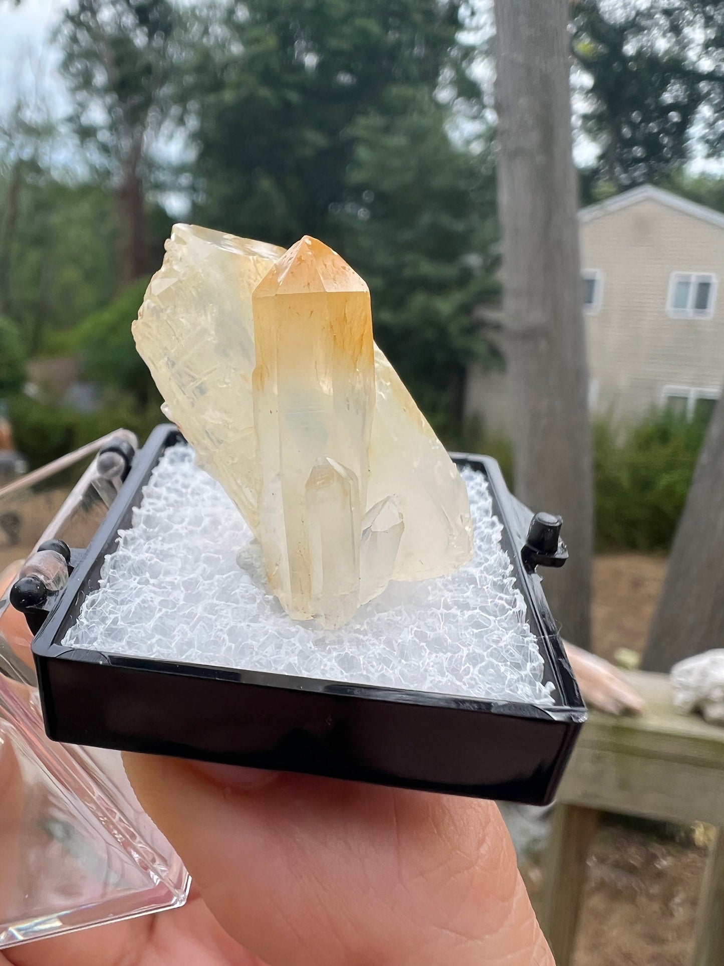 Halloysite in Quartz from Colombia