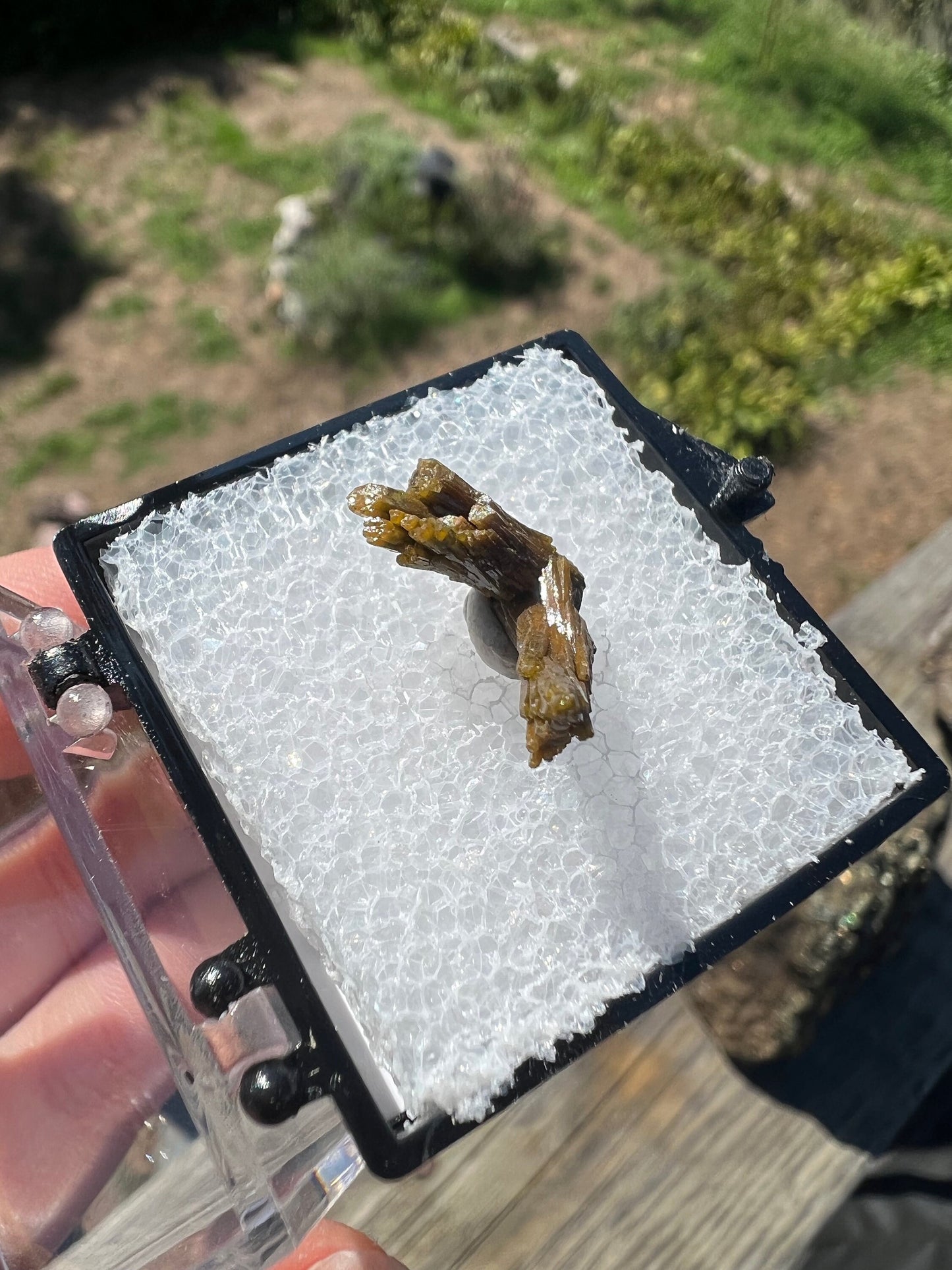 Pyromorphite Crystals from Les Farges Mine France