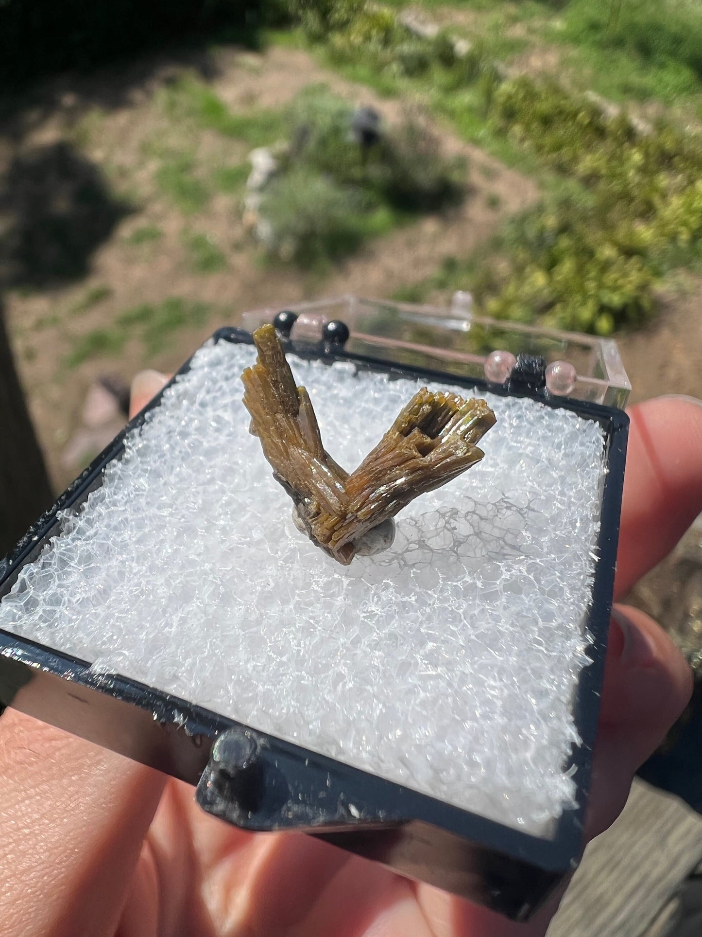 Pyromorphite Crystals from Les Farges Mine France