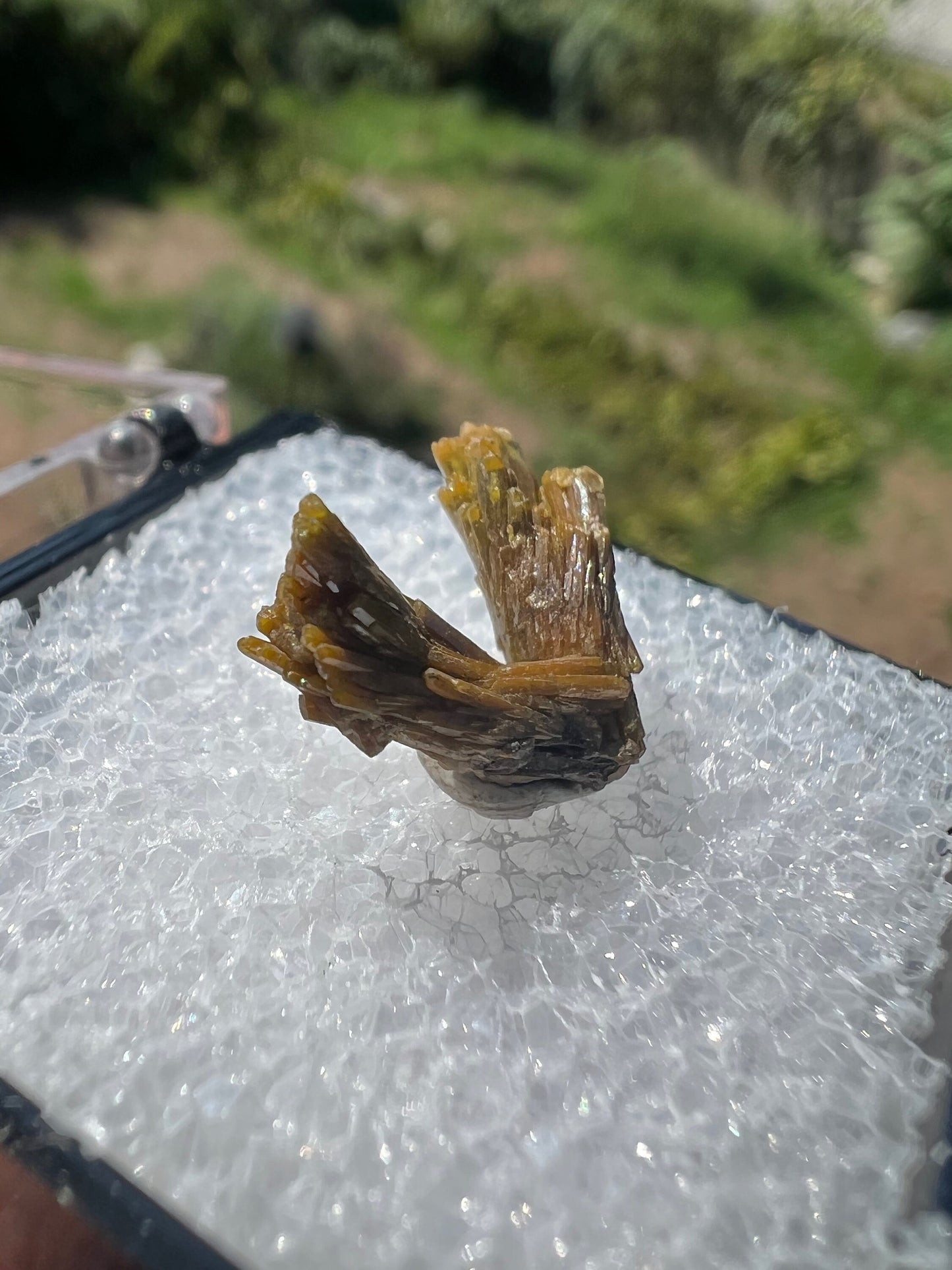 Pyromorphite Crystals from Les Farges Mine France