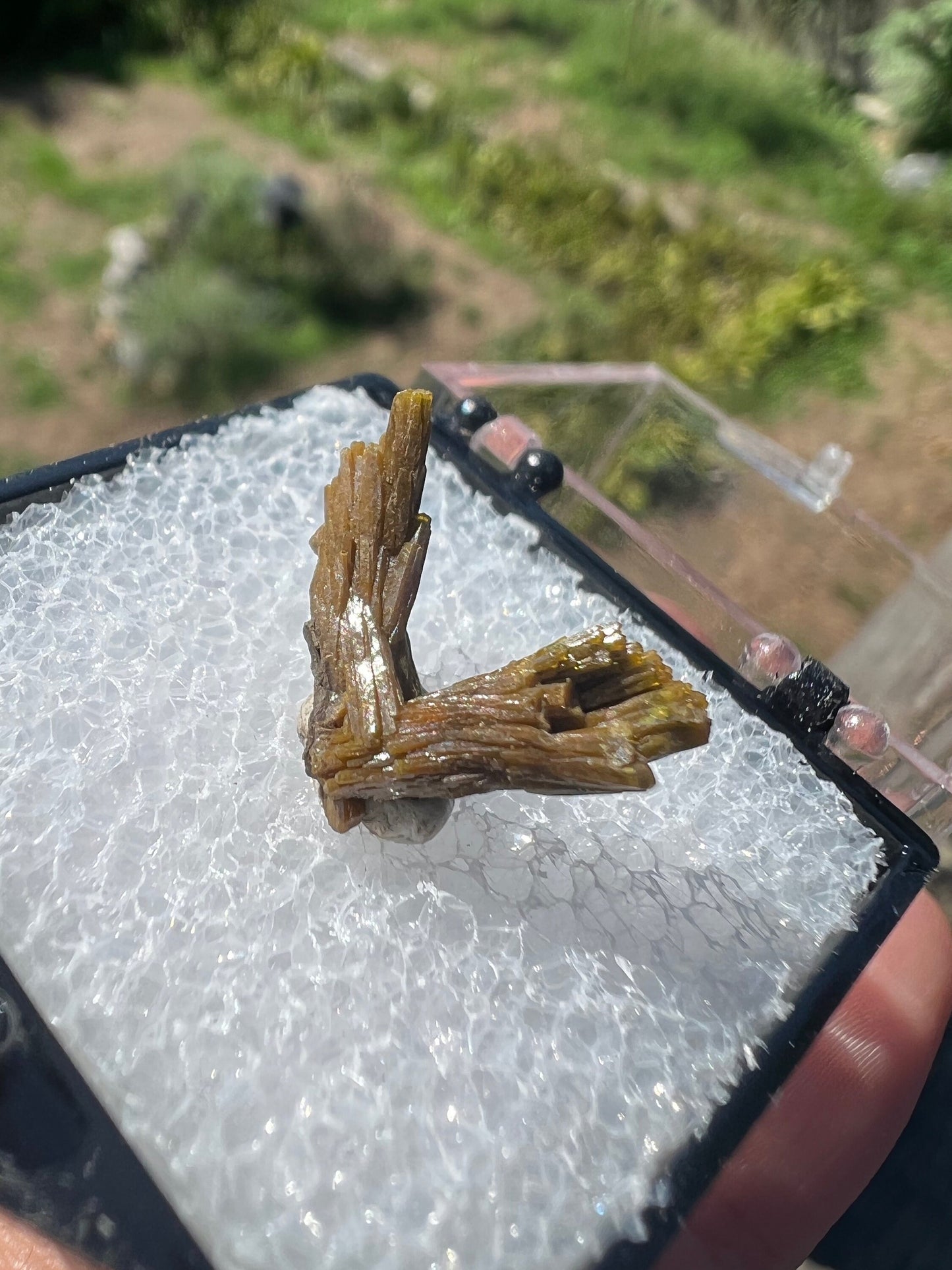 Pyromorphite Crystals from Les Farges Mine France