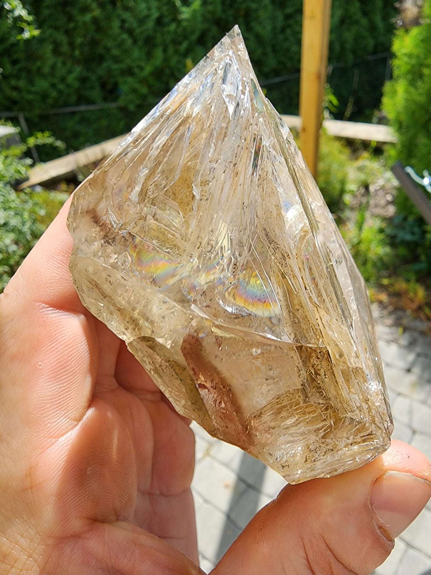 Cabinet Skeletal Herkimer Diamond Quartz Crystal from New York USA