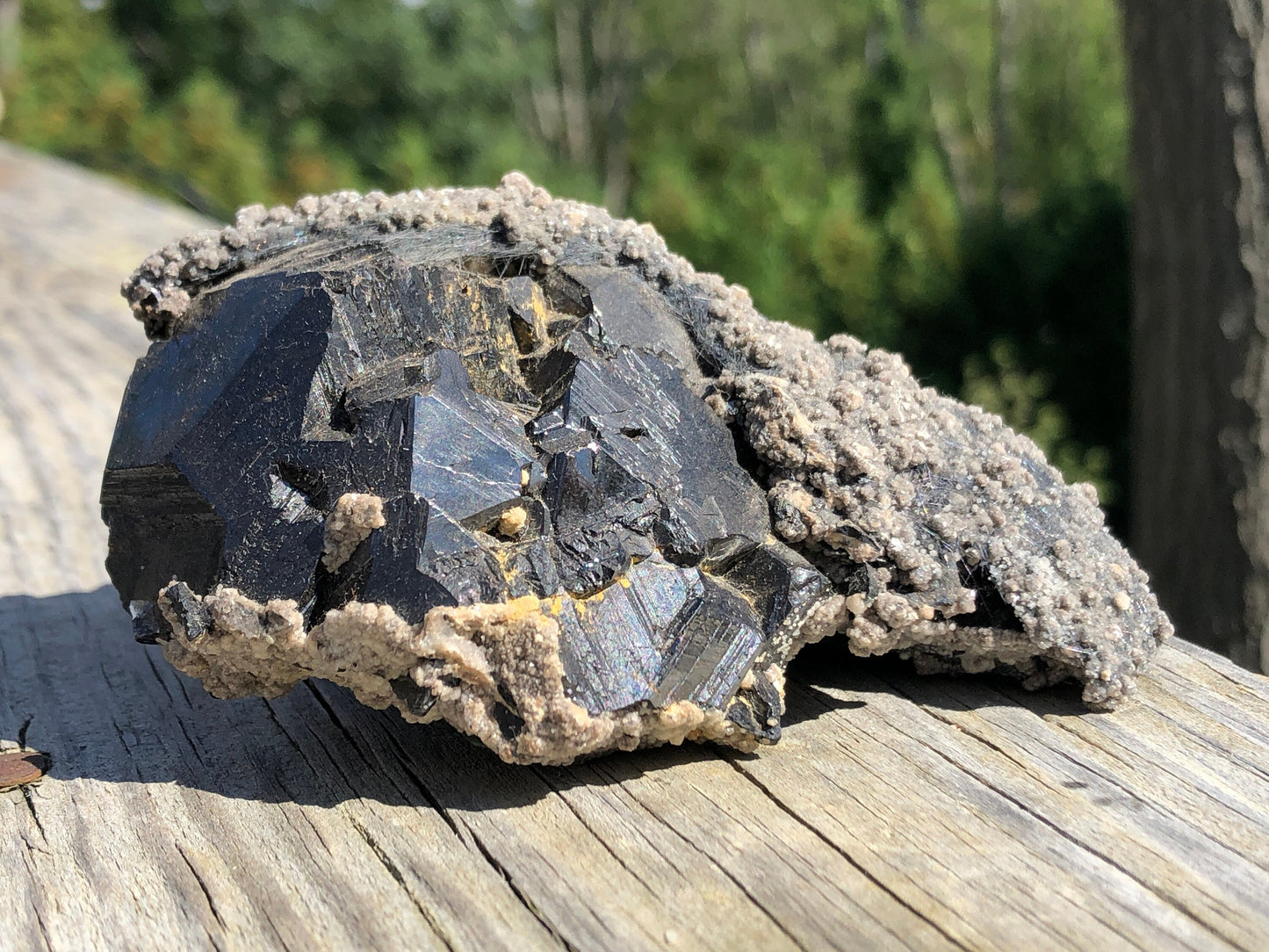 Cabinet Boulangerite on Sphalerite from Buena Noche Mine Mexico