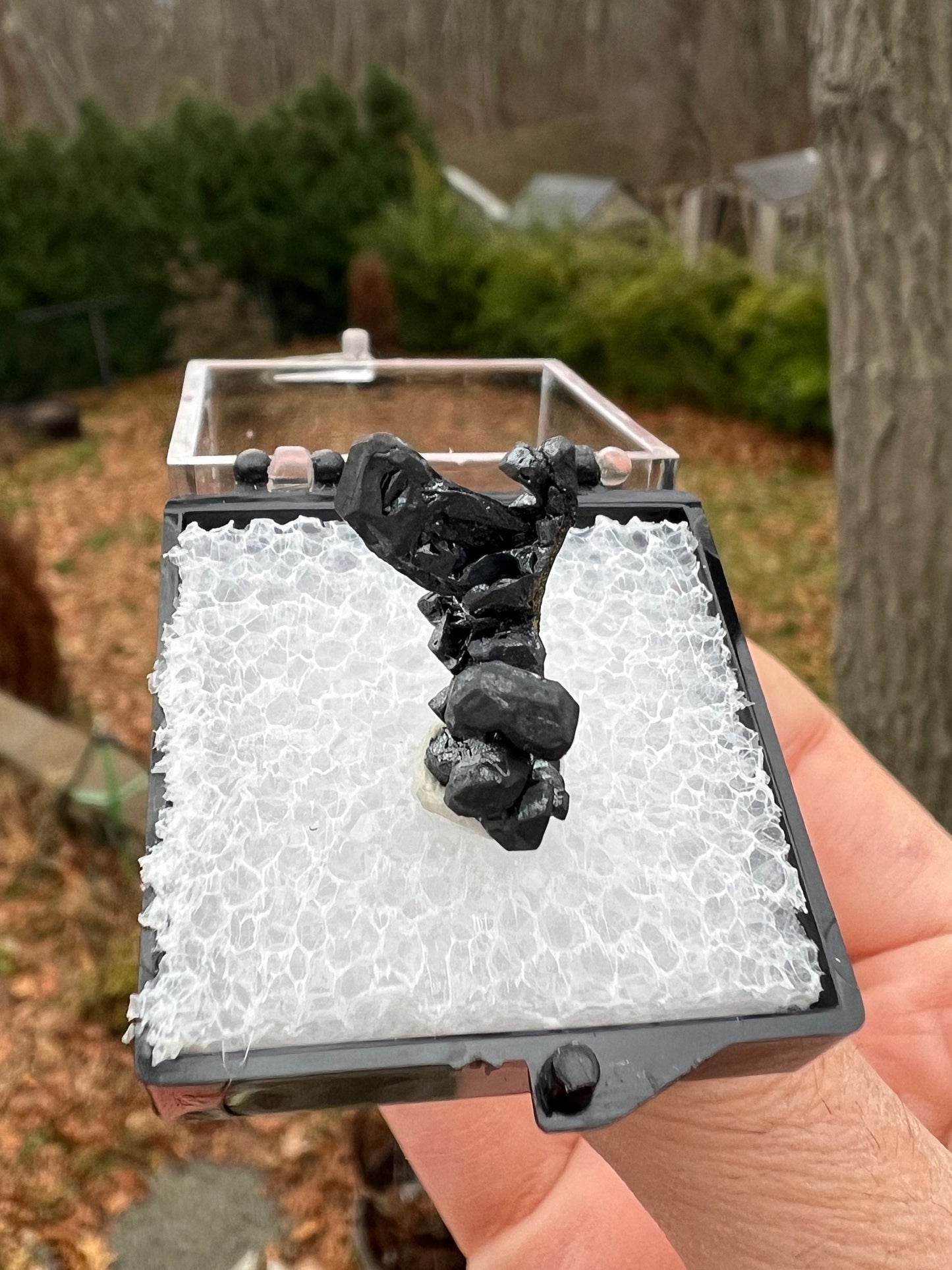 Hoppered Acanthite Crystal from Mexico