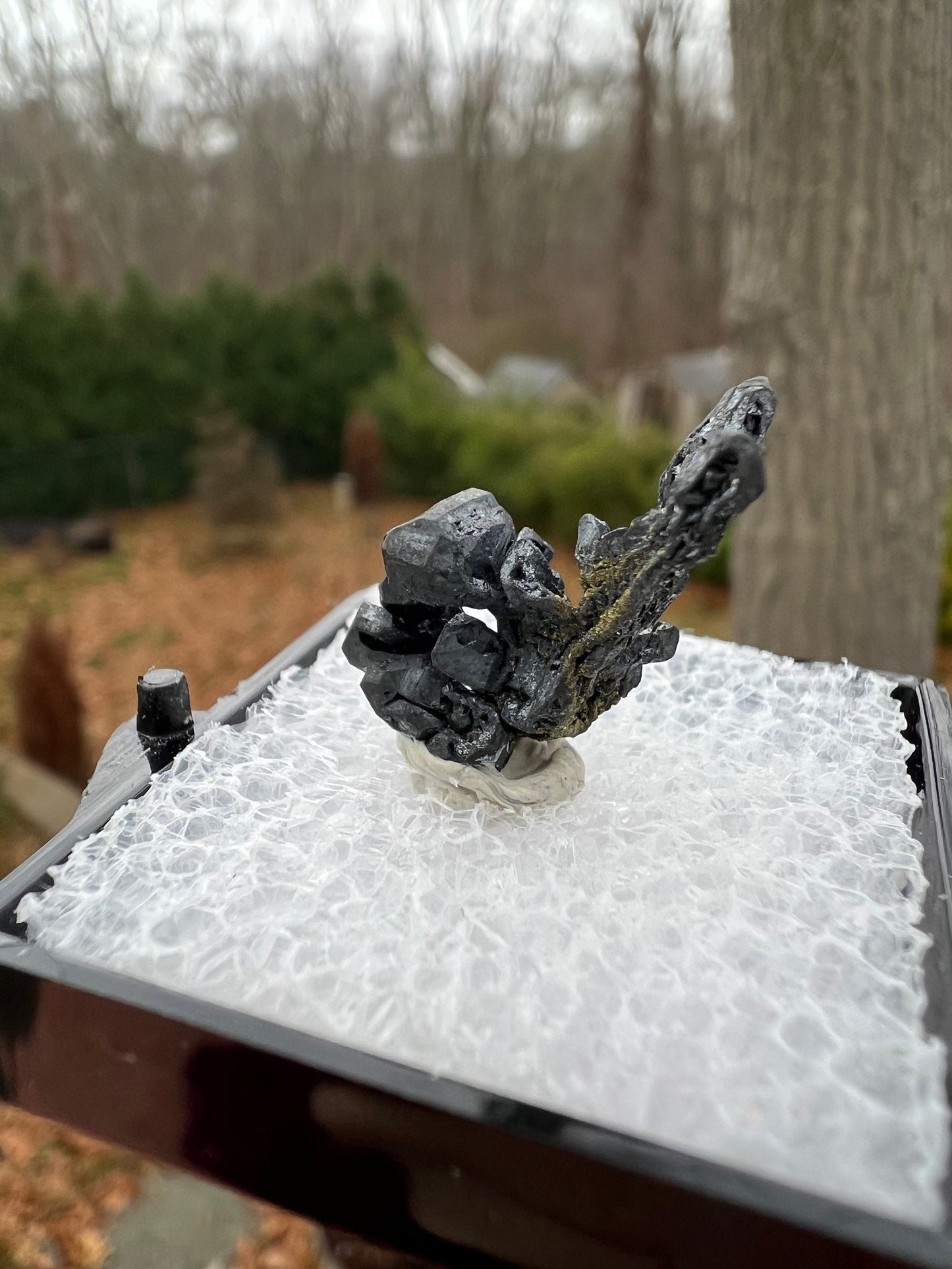 Hoppered Acanthite Crystal from Mexico