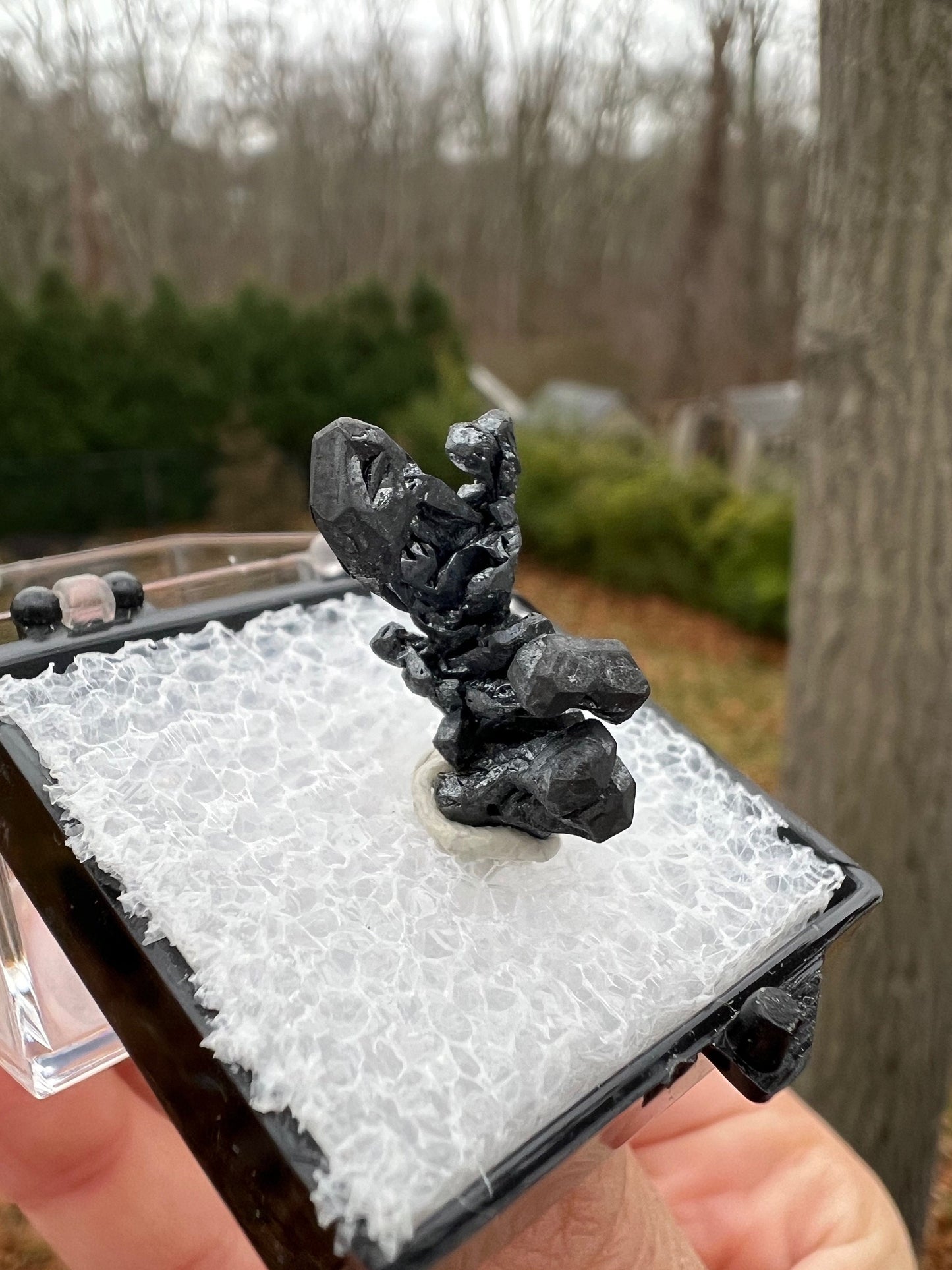 Hoppered Acanthite Crystal from Mexico
