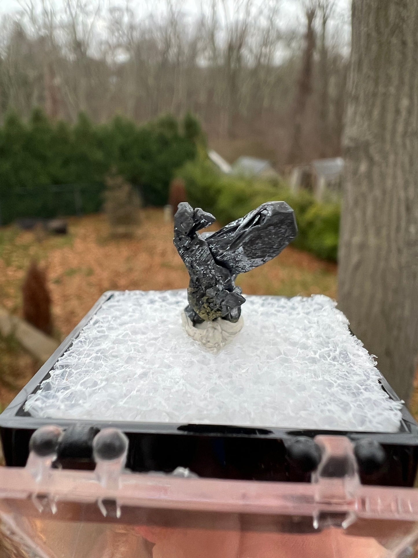 Hoppered Acanthite Crystal from Mexico