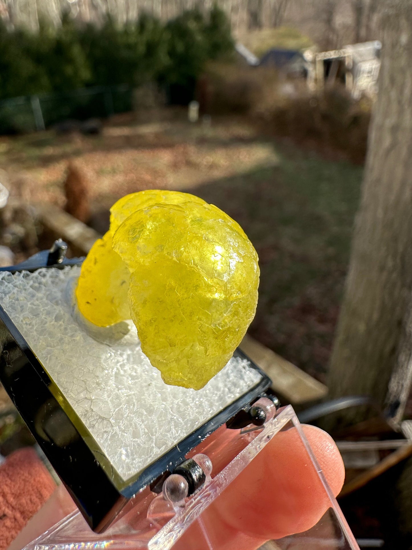 Gem Yellow Brucite Specimen from Pakistan