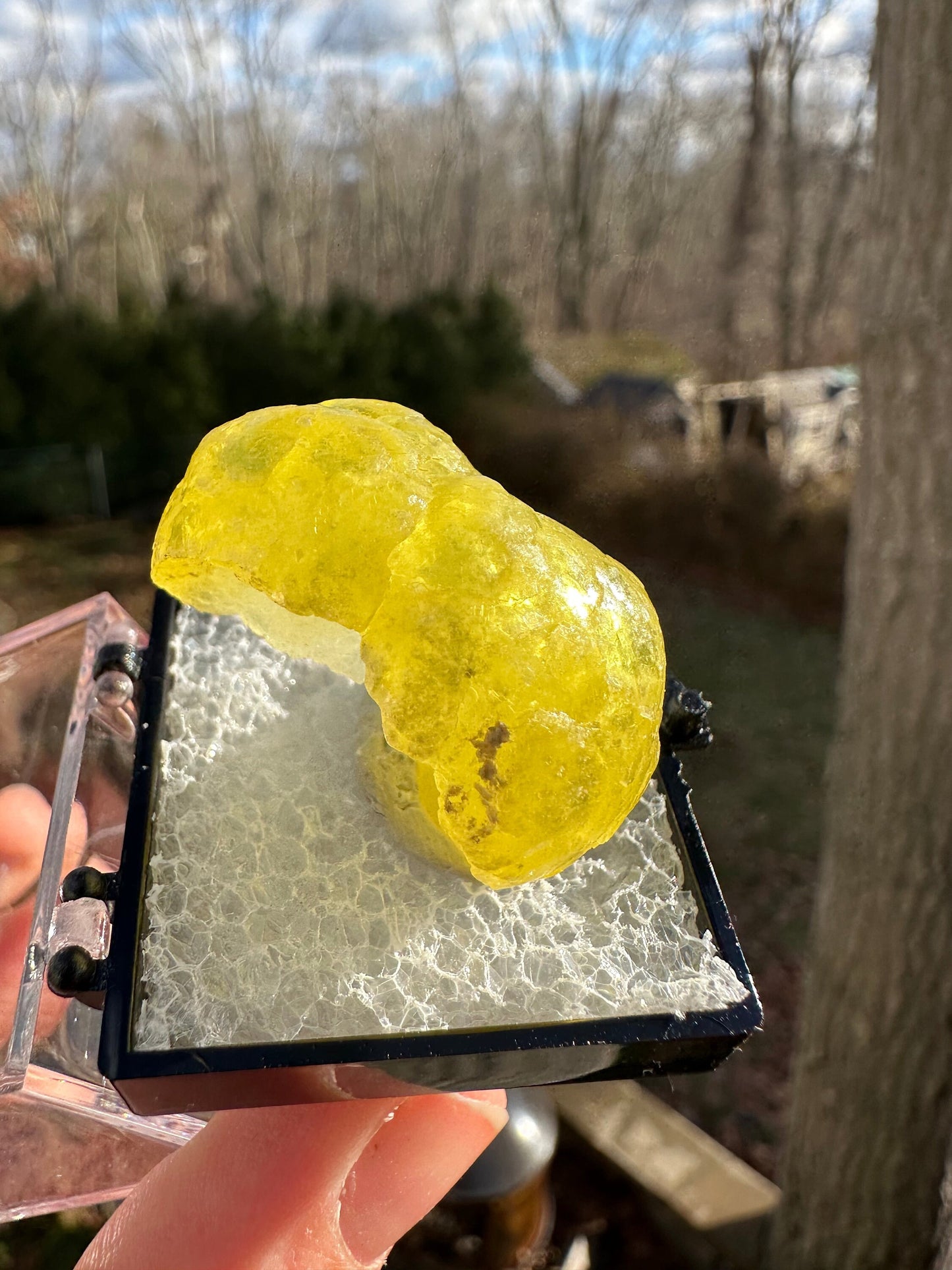 Gem Yellow Brucite Specimen from Pakistan