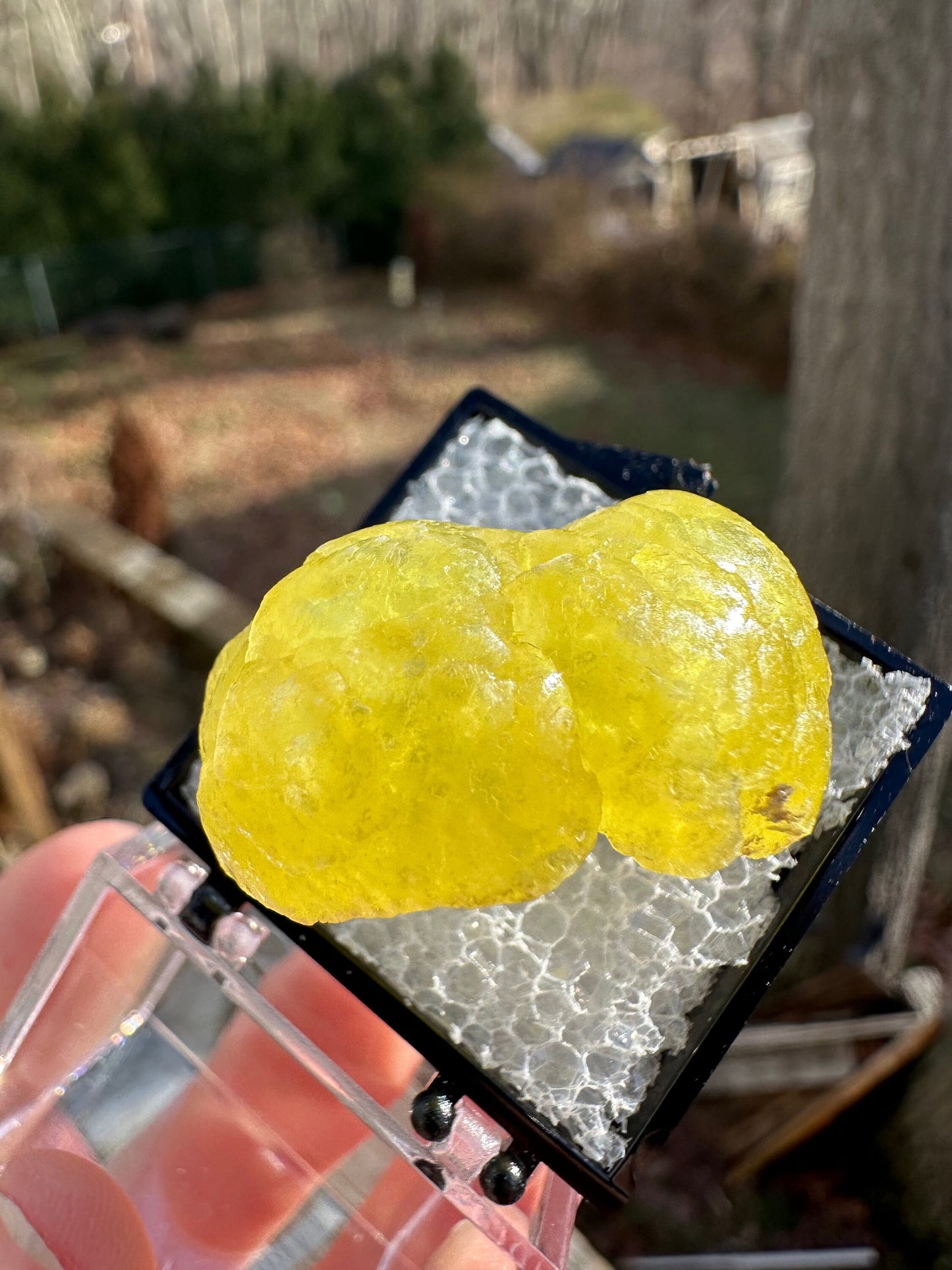 Gem Yellow Brucite Specimen from Pakistan