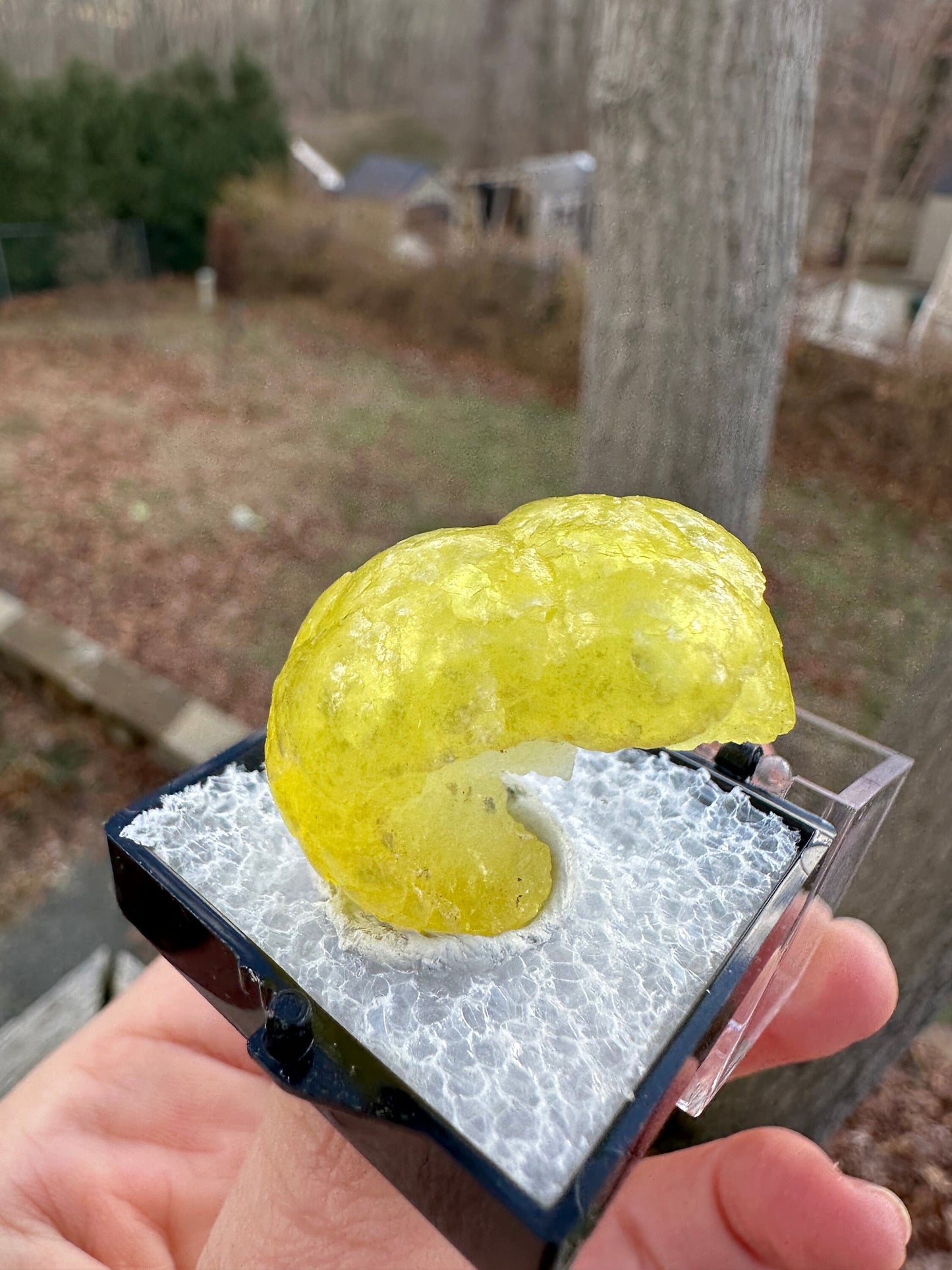 Gem Yellow Brucite Specimen from Pakistan