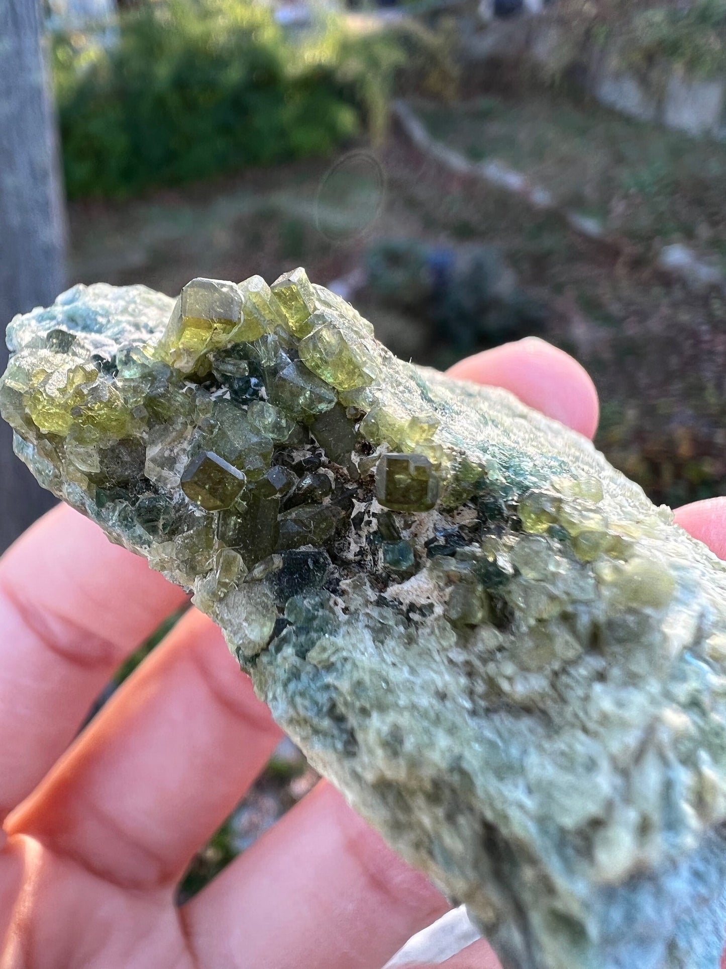 Vesuvianite with Clinochlore from Italy