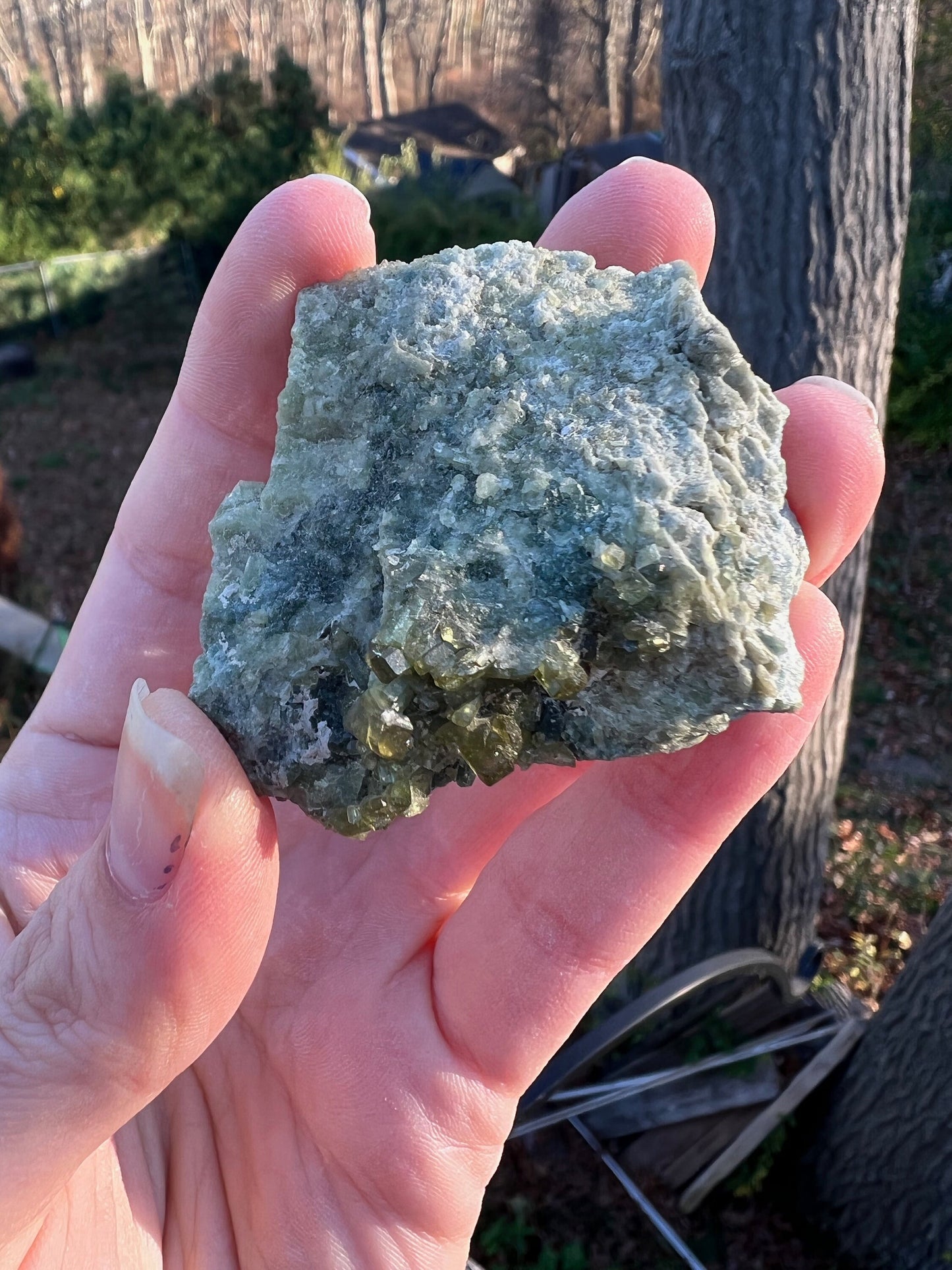 Vesuvianite with Clinochlore from Italy