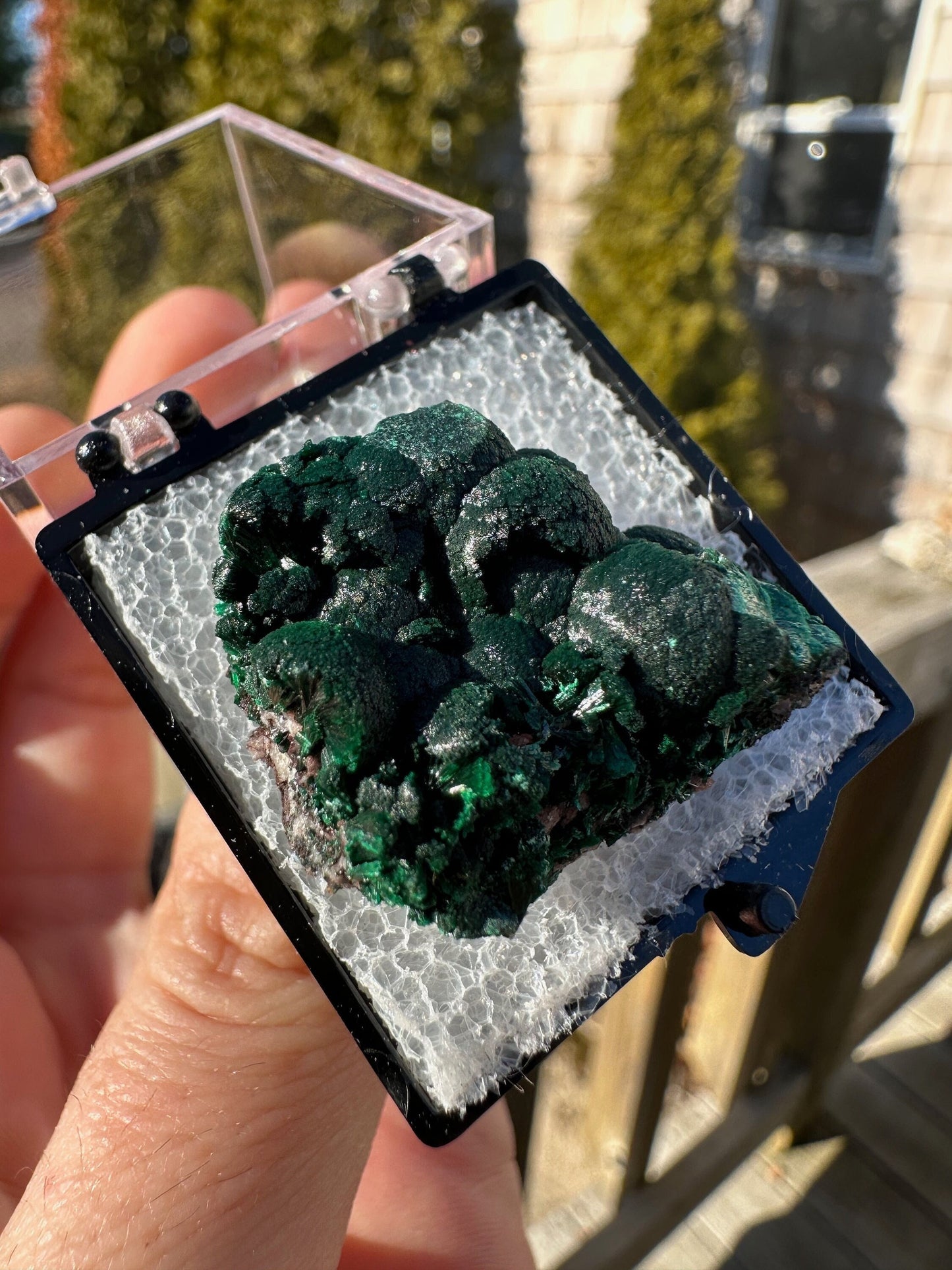 Malachite from Tsumeb Mine Namibia