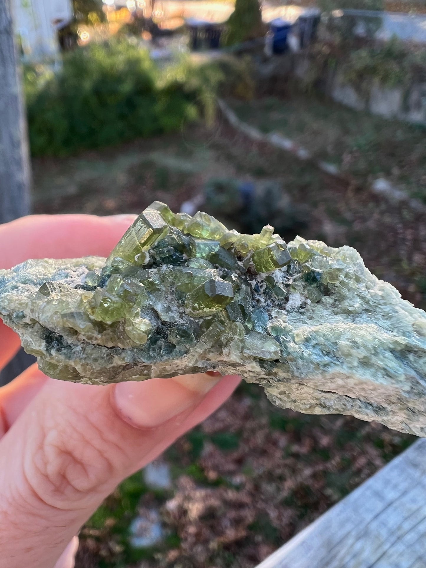Vesuvianite with Clinochlore from Italy