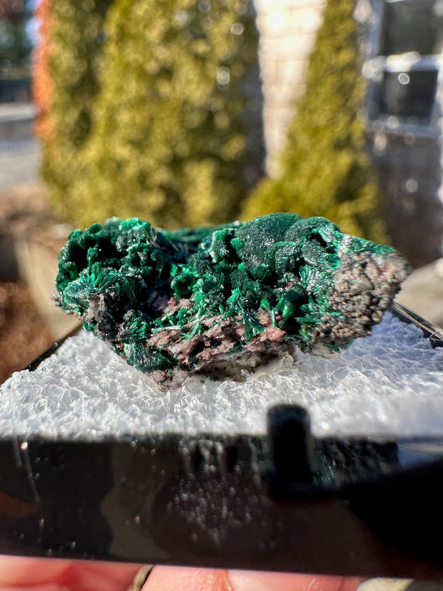 Malachite from Tsumeb Mine Namibia
