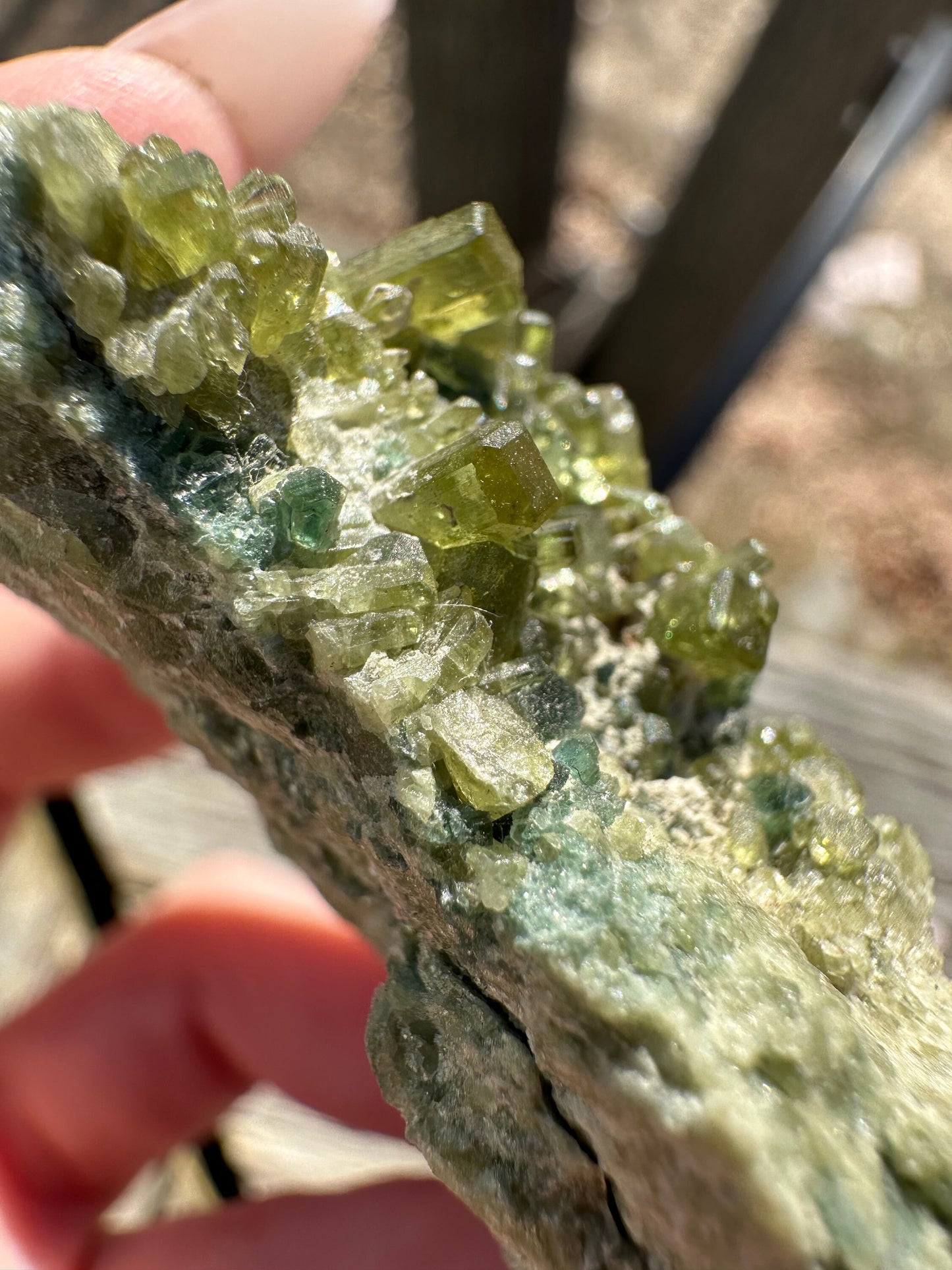 Vesuvianite with Clinochlore from Italy