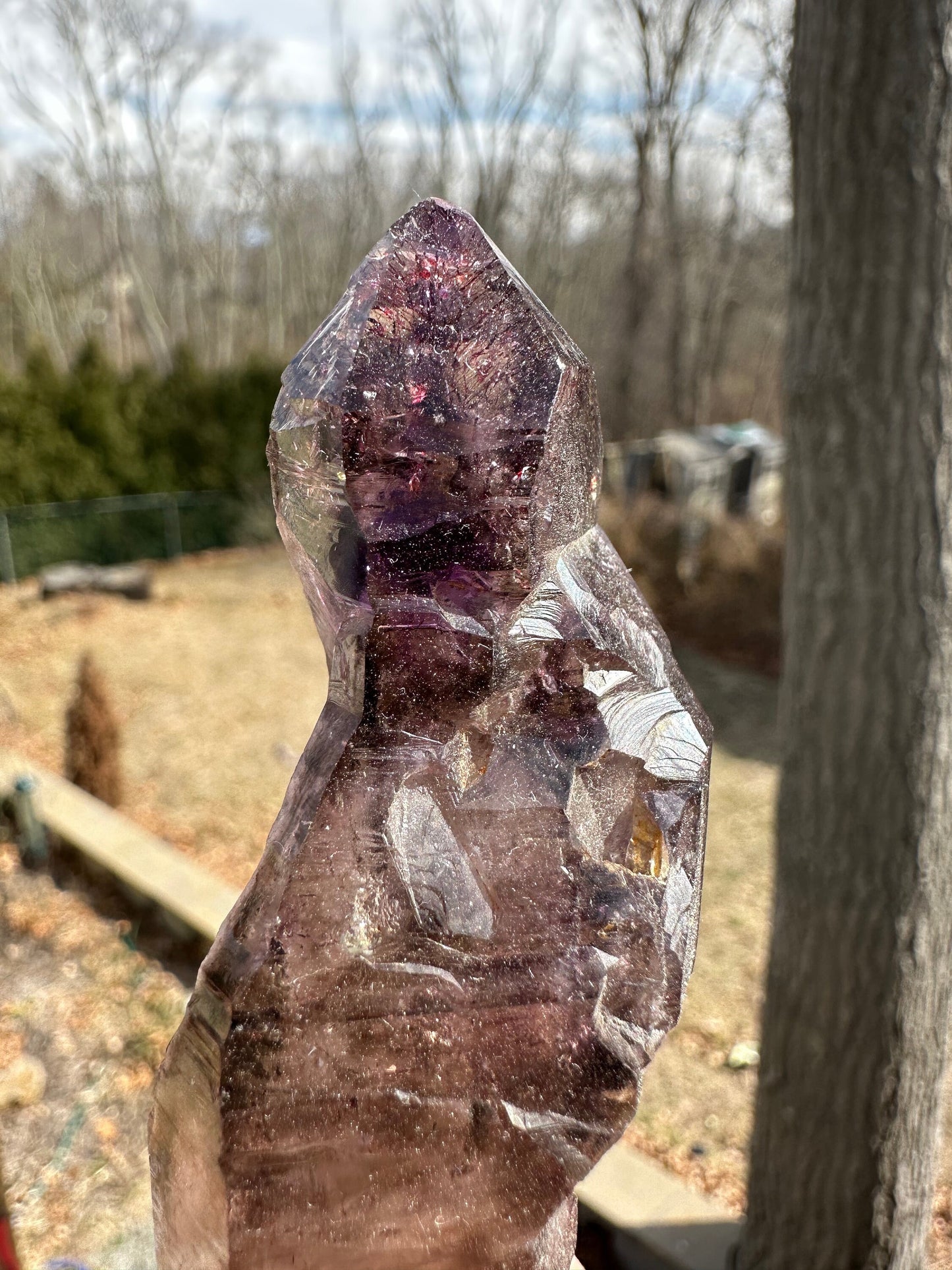 Large Smoky Amethyst Scepter with Hematite Inclusions from Zambia Africa