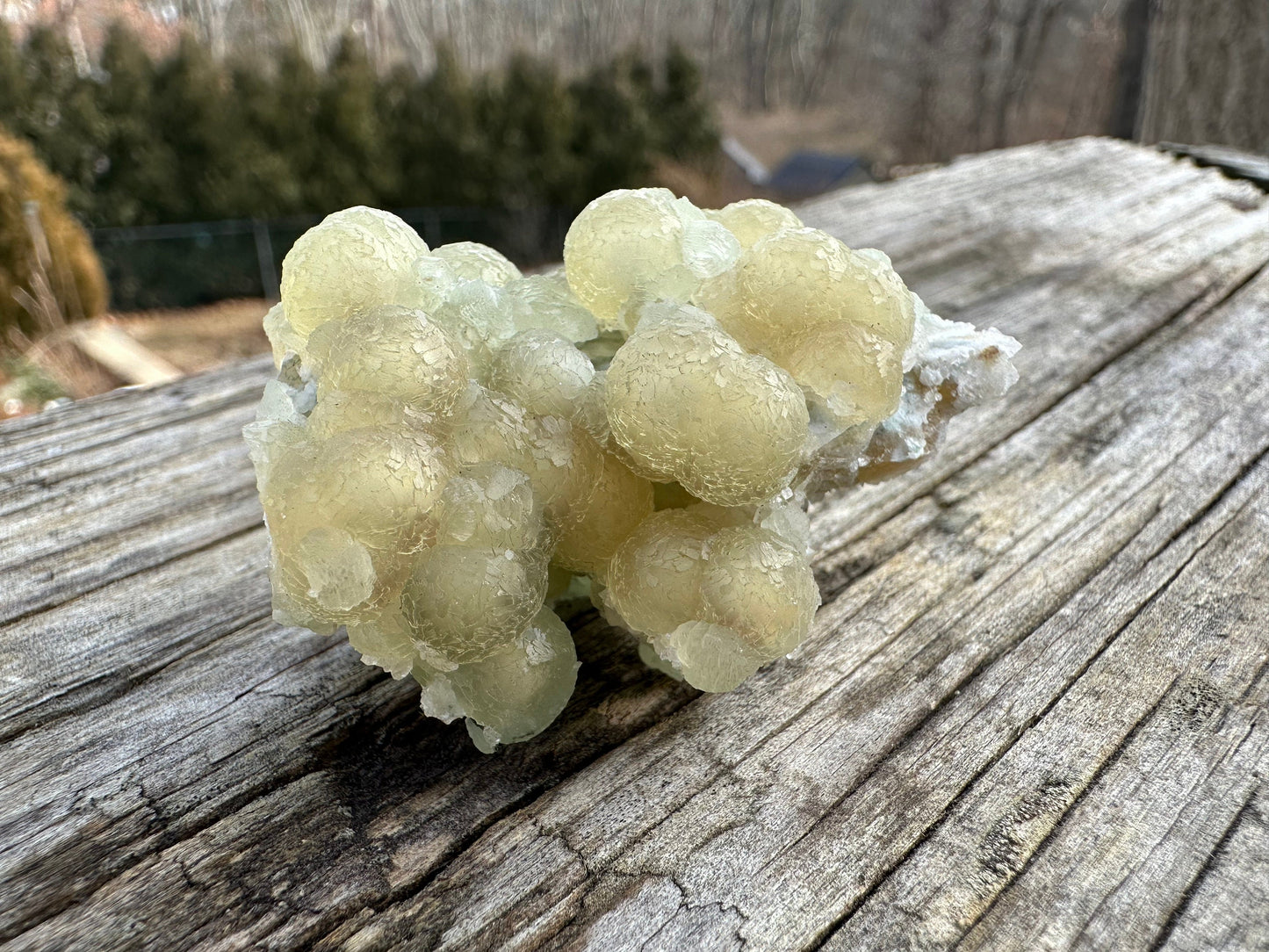 Prehnite from O&G Quarry Connecticut USA