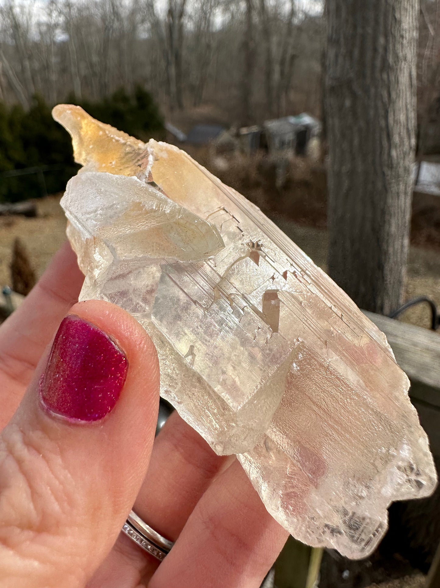 Terminated Selenite Crystal from Creamsicle Mine Utah