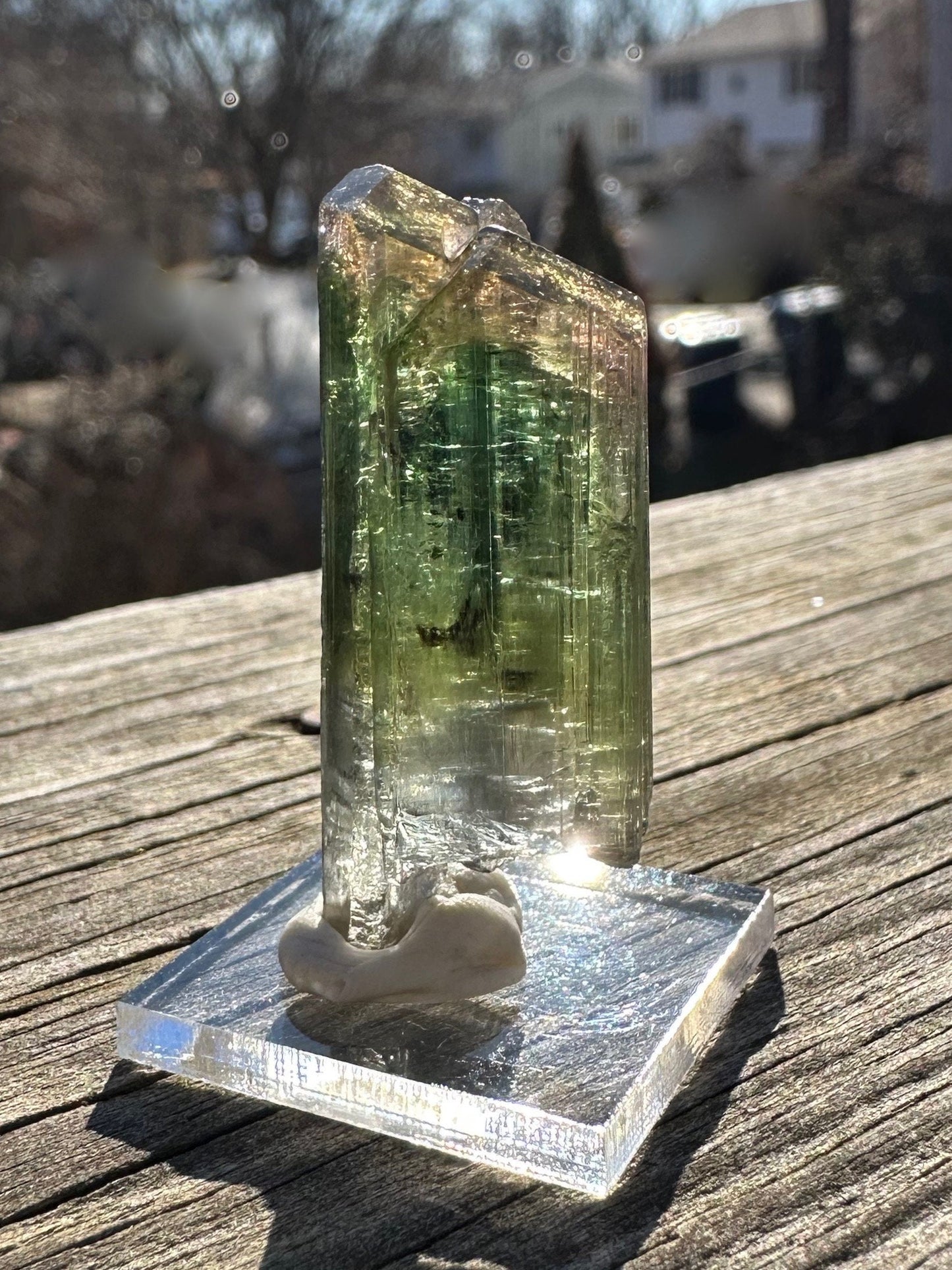 Parti-Colored Tourmaline Crystals from Aricanga Mine, Brazil