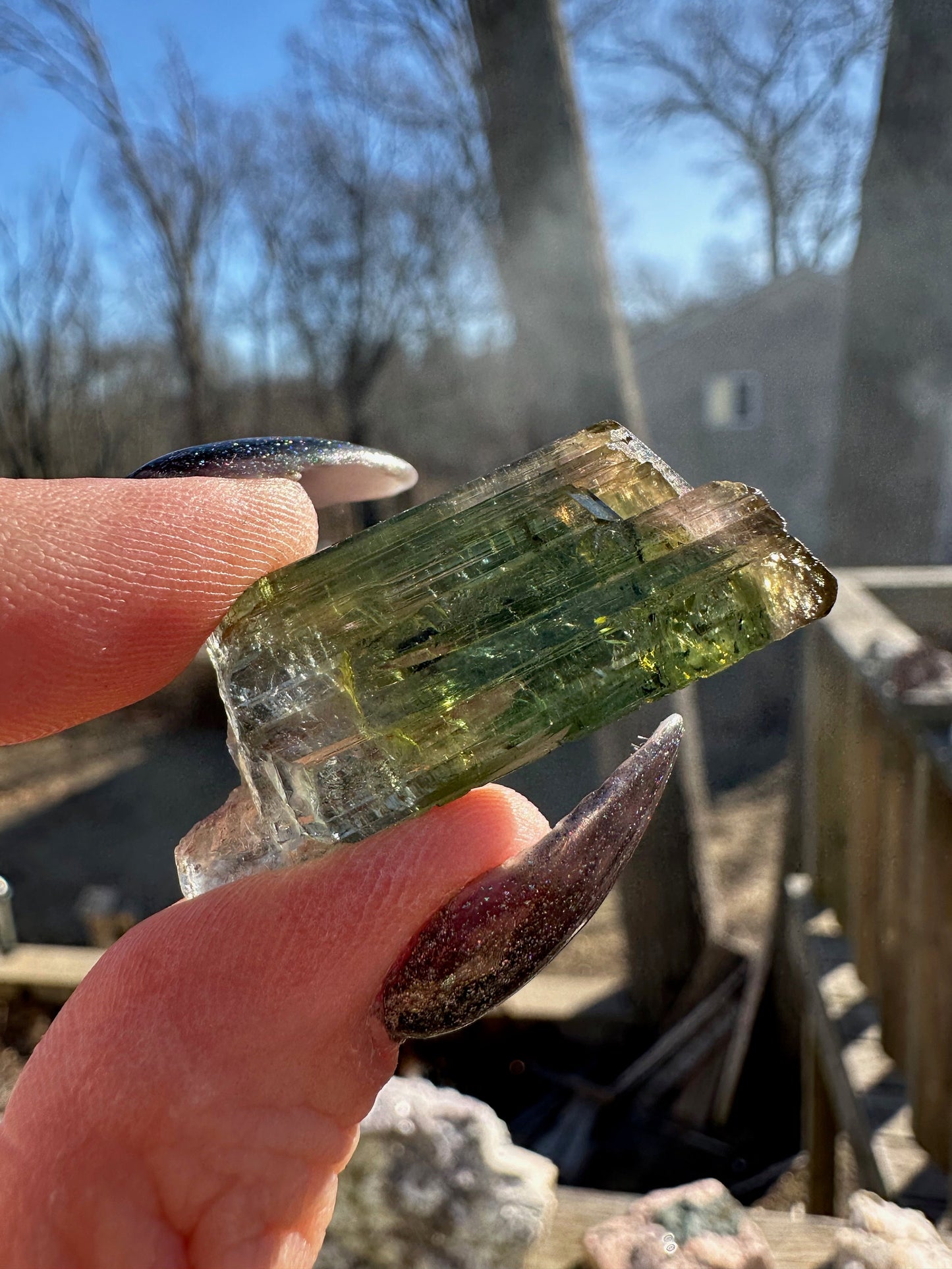 Parti-Colored Tourmaline Crystals from Aricanga Mine, Brazil