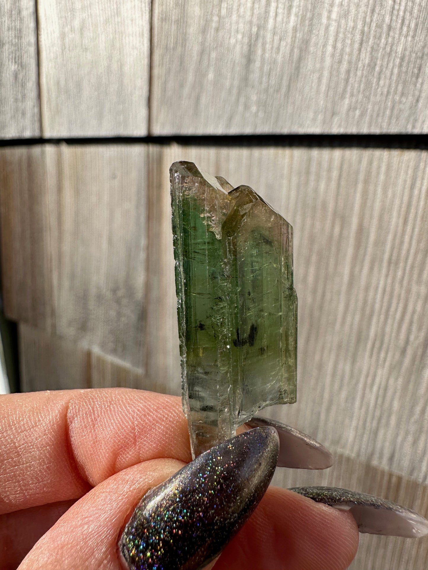 Parti-Colored Tourmaline Crystals from Aricanga Mine, Brazil