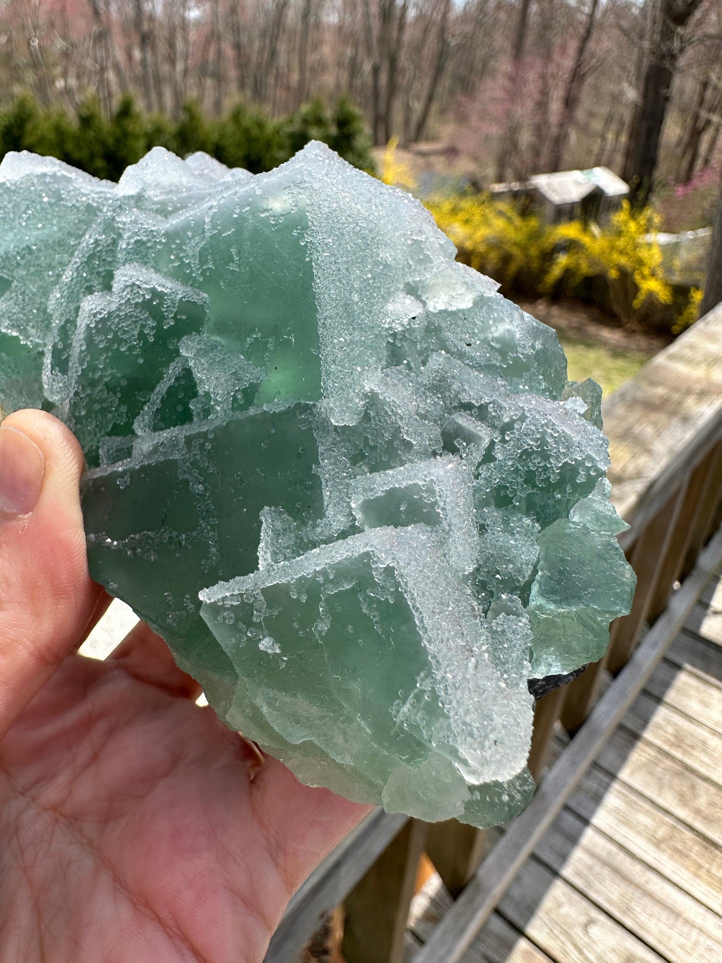 Cabinet Green Sugar Coated Fluorite from China