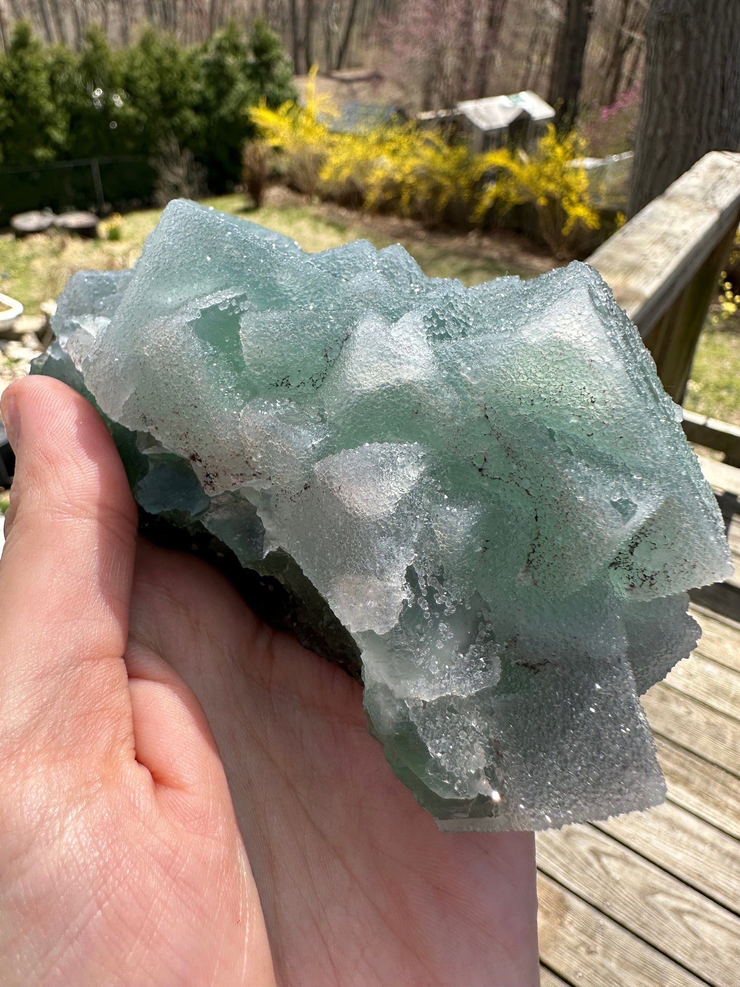 Cabinet Green Sugar Coated Fluorite from China