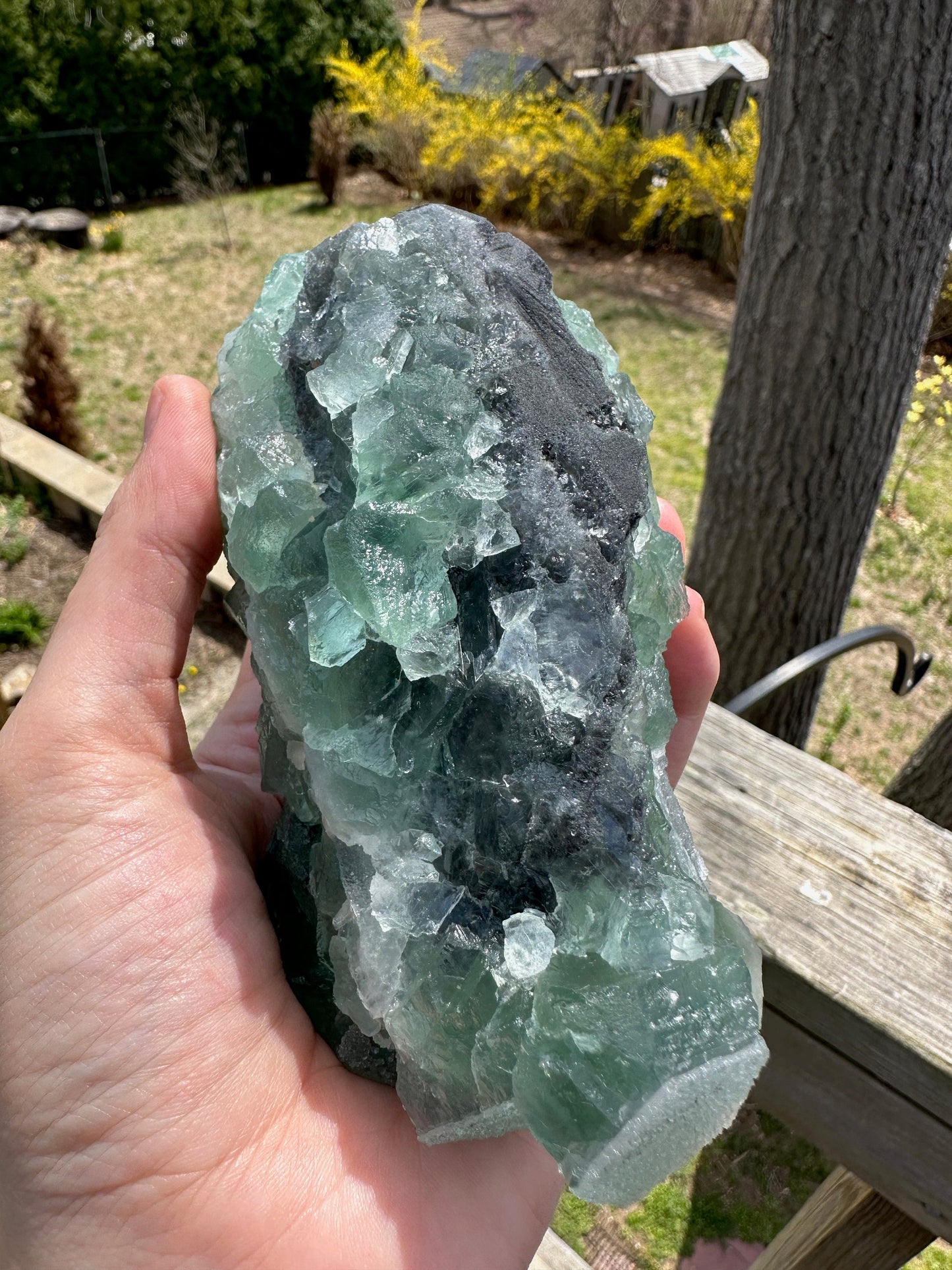 Cabinet Green Sugar Coated Fluorite from China