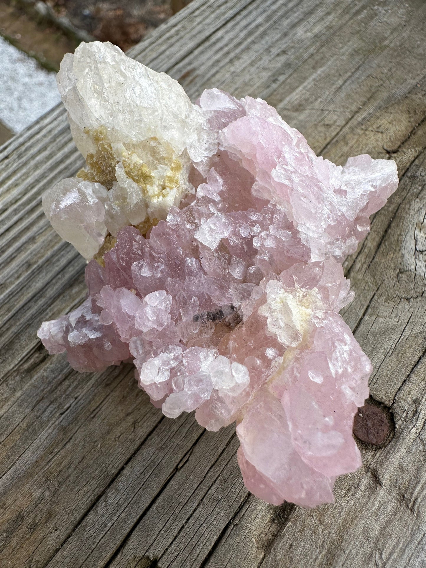 Cabinet Elestial Rose Quartz on Quartz from Brazil
