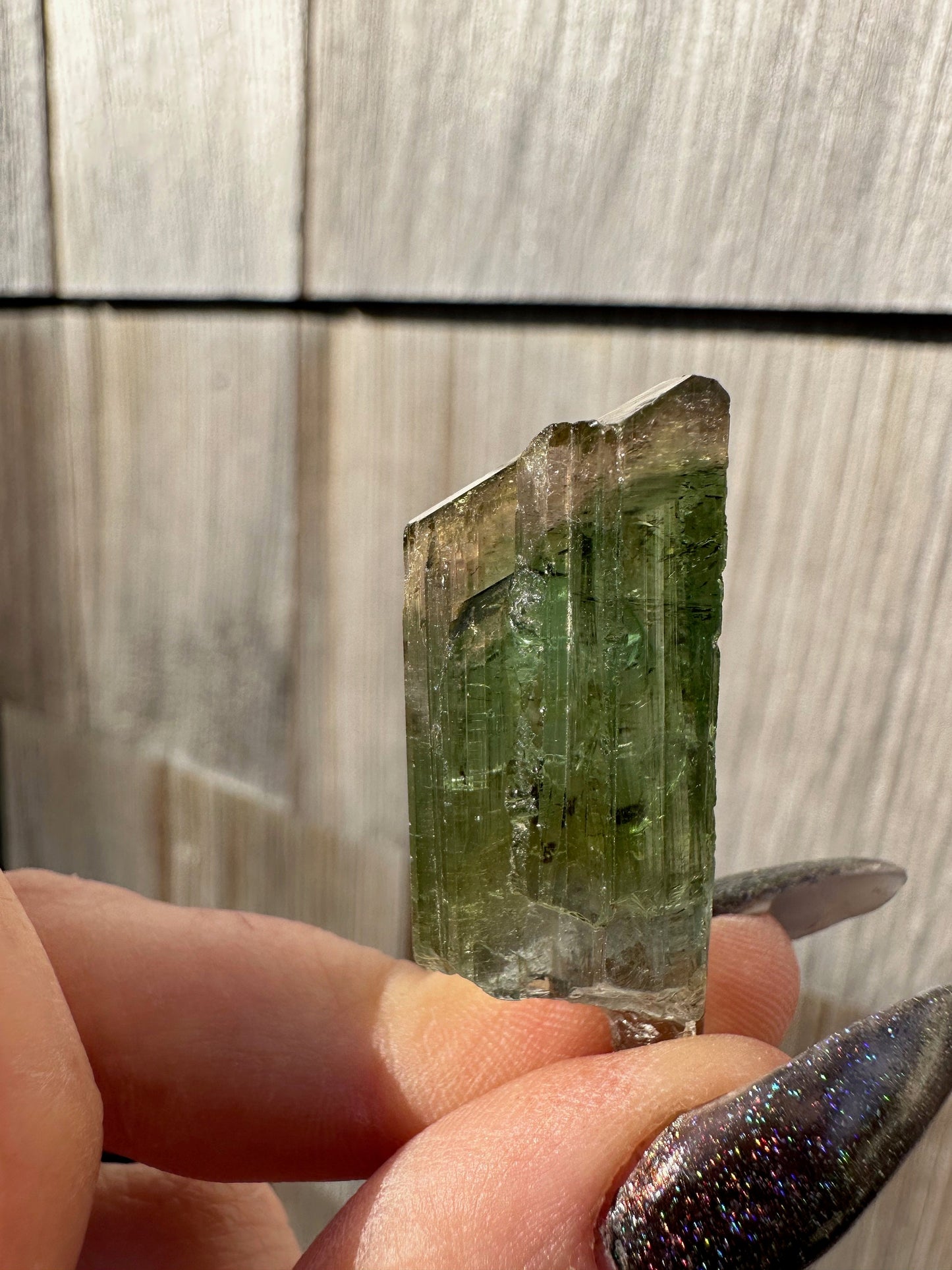 Parti-Colored Tourmaline Crystals from Aricanga Mine, Brazil