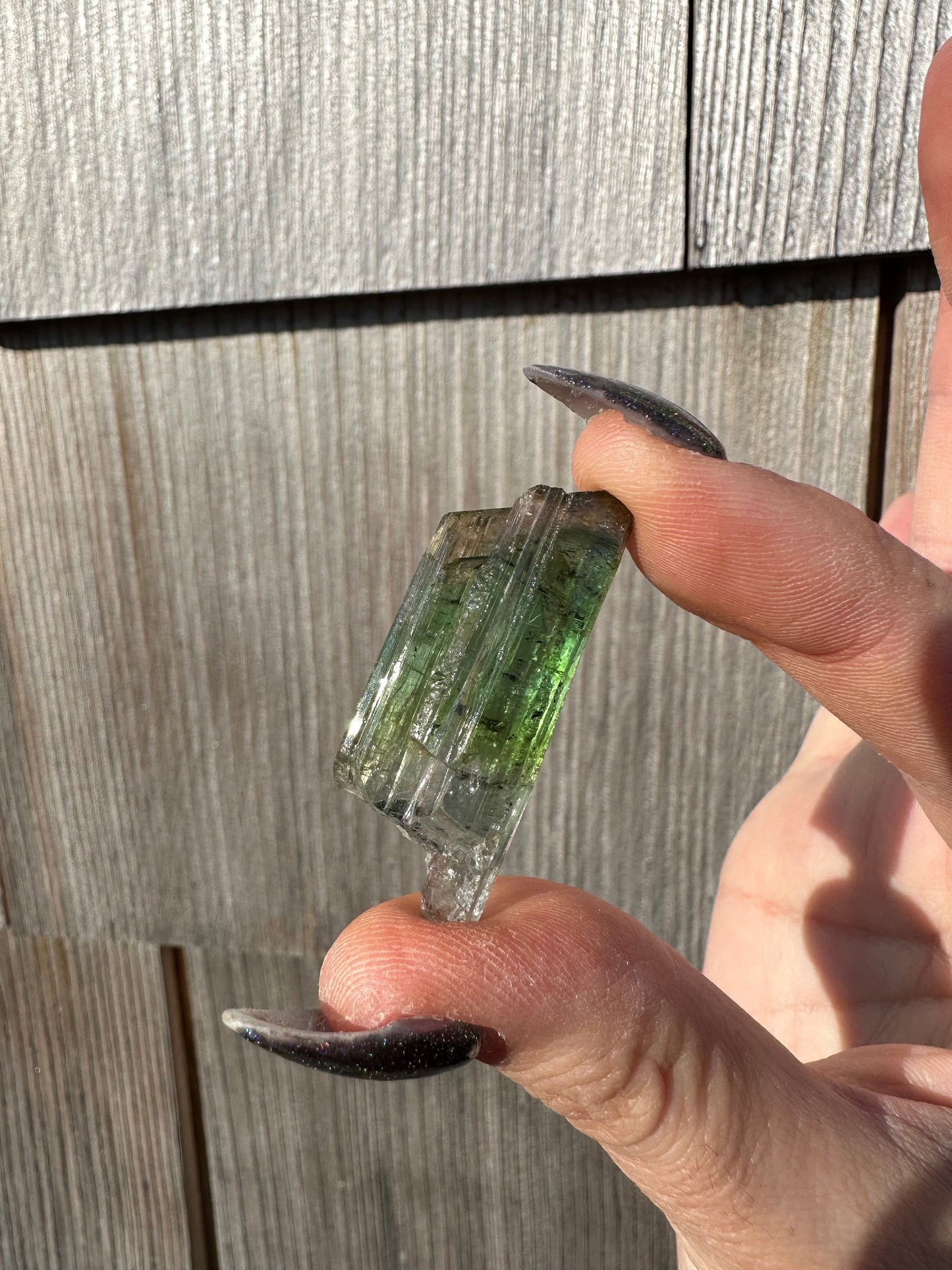 Parti-Colored Tourmaline Crystals from Aricanga Mine, Brazil